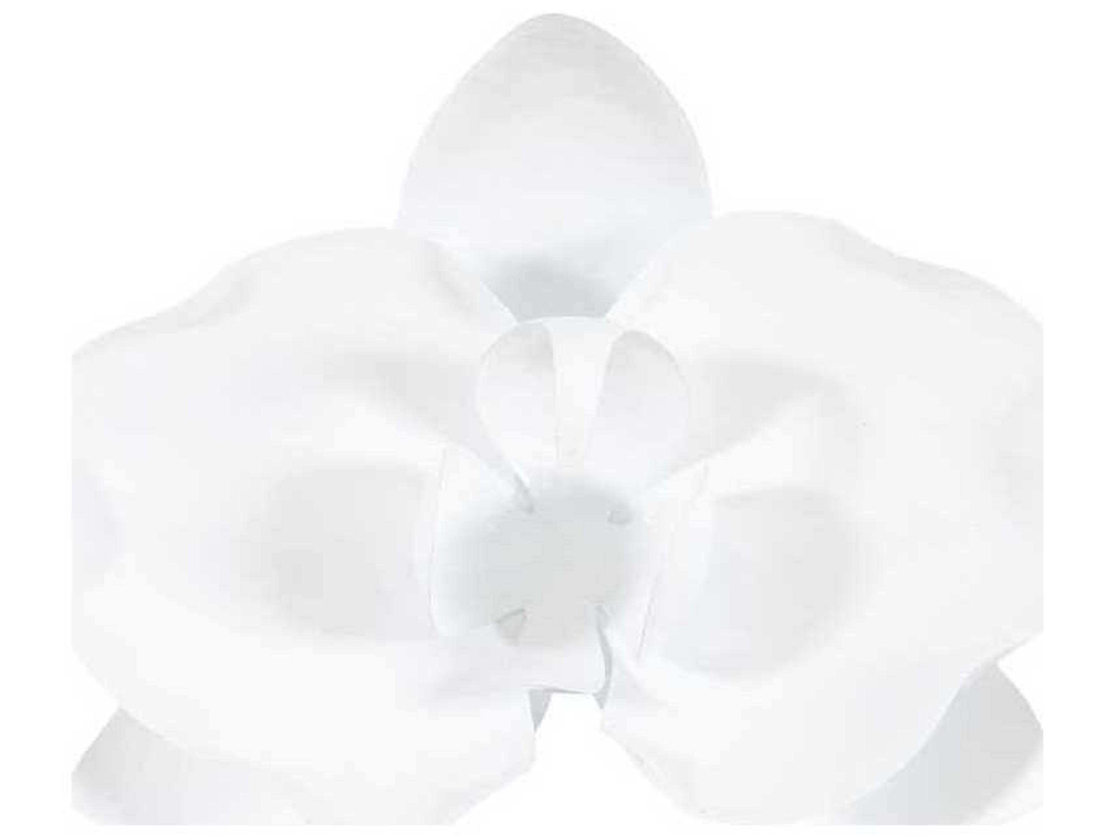 Phillips Collection Orchid Flower White Metal Wall Art