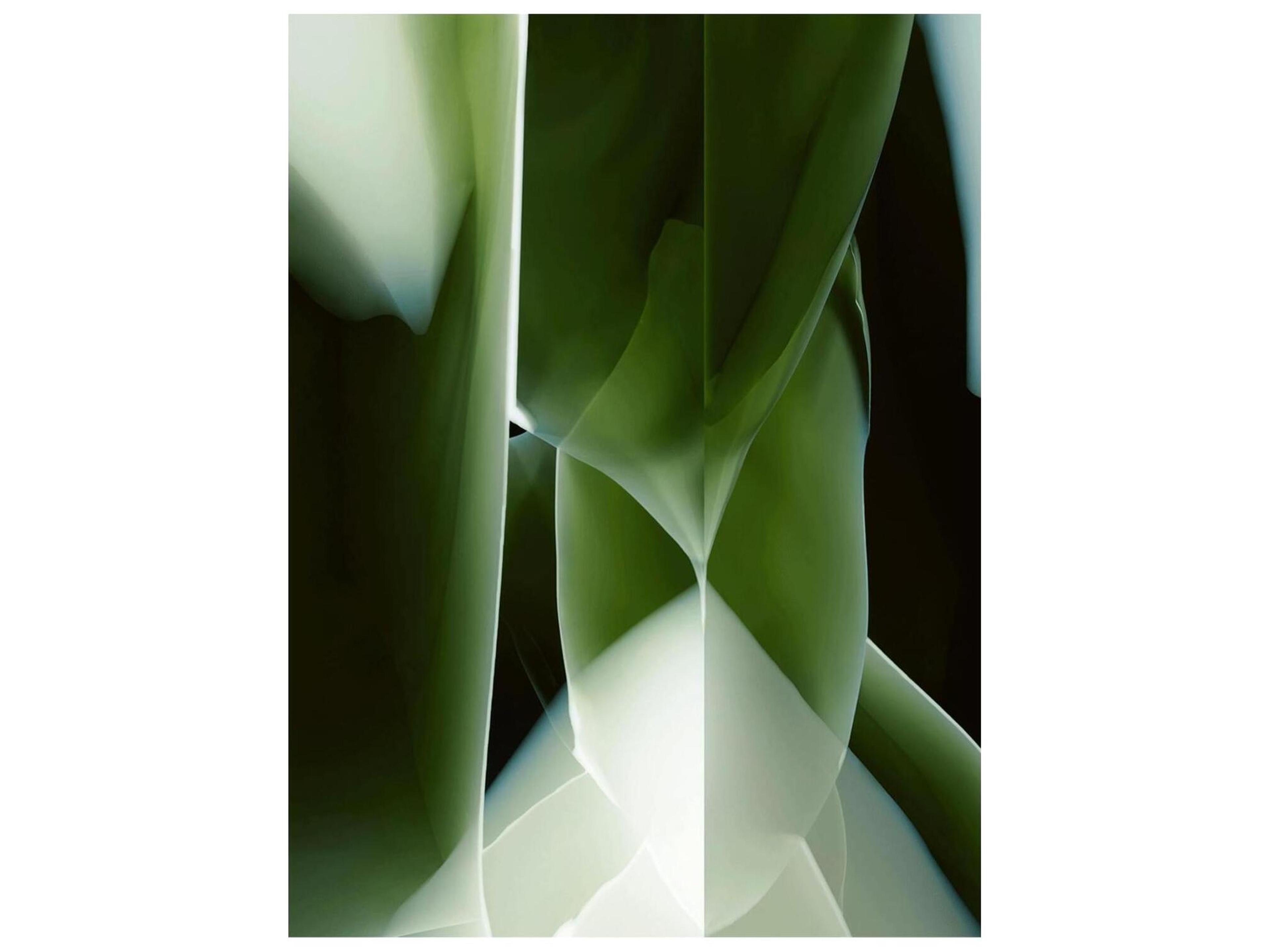 Studio Nucleo Abstract Area Rug