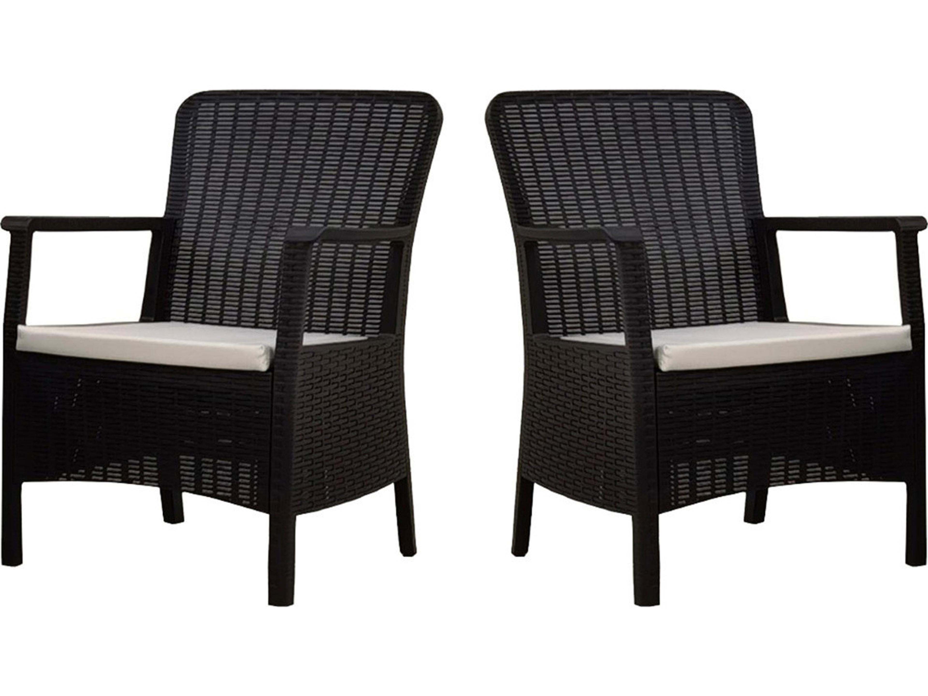 Rainbow Outdoor Napoli Resin Anthracite Dining Arm Chair with Cushion Set of 2