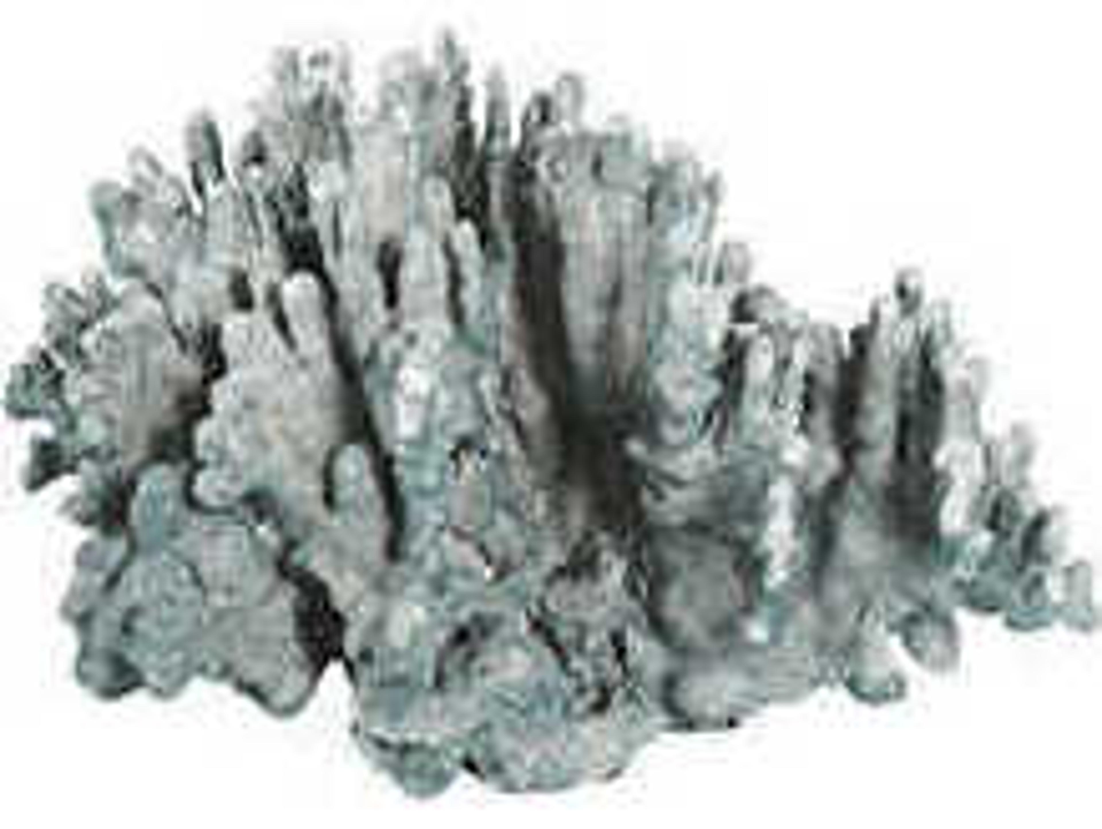 Regina Andrew Blue Coral Art Piece