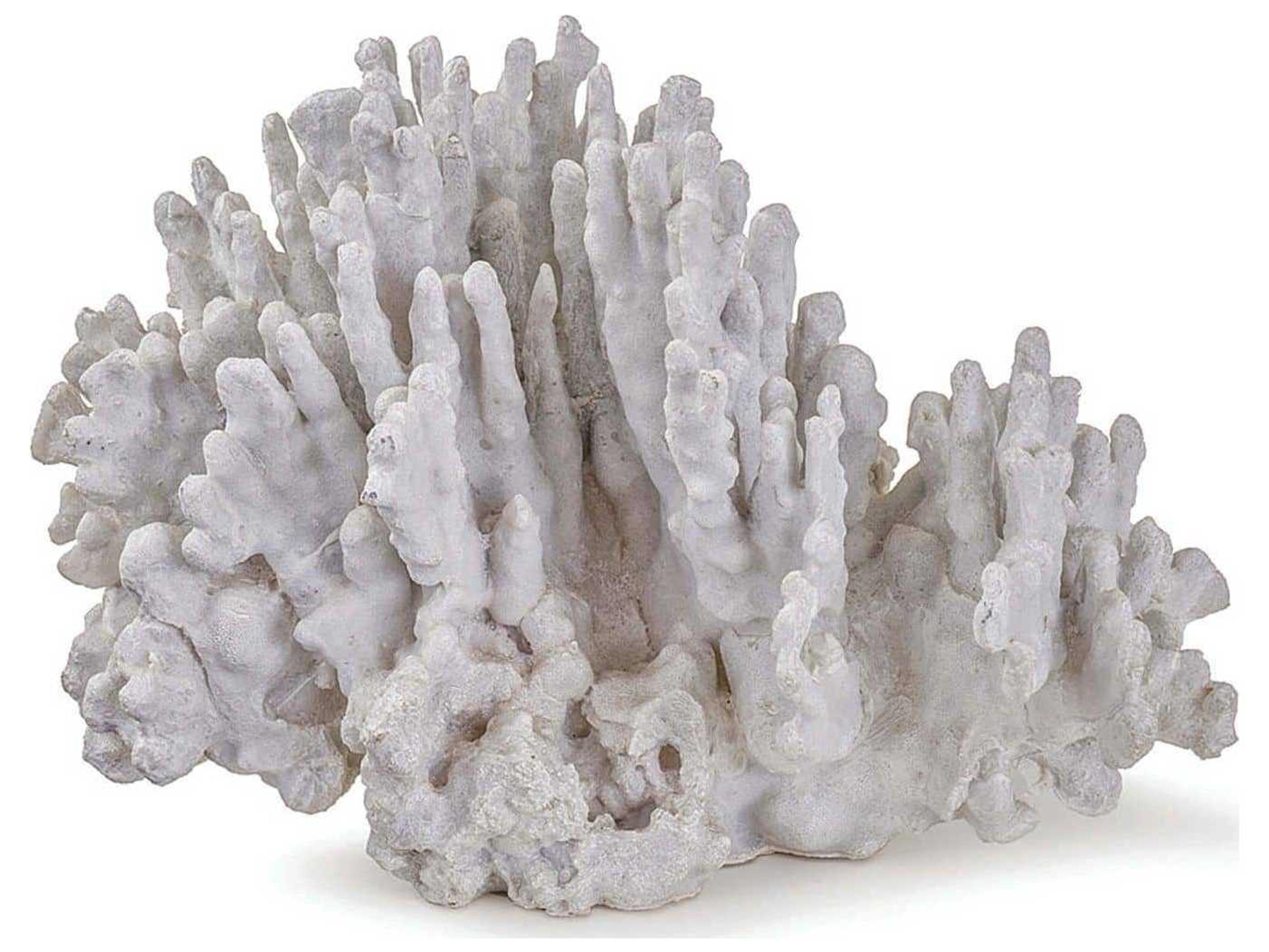 Regina Andrew White Coral Natural Art Piece