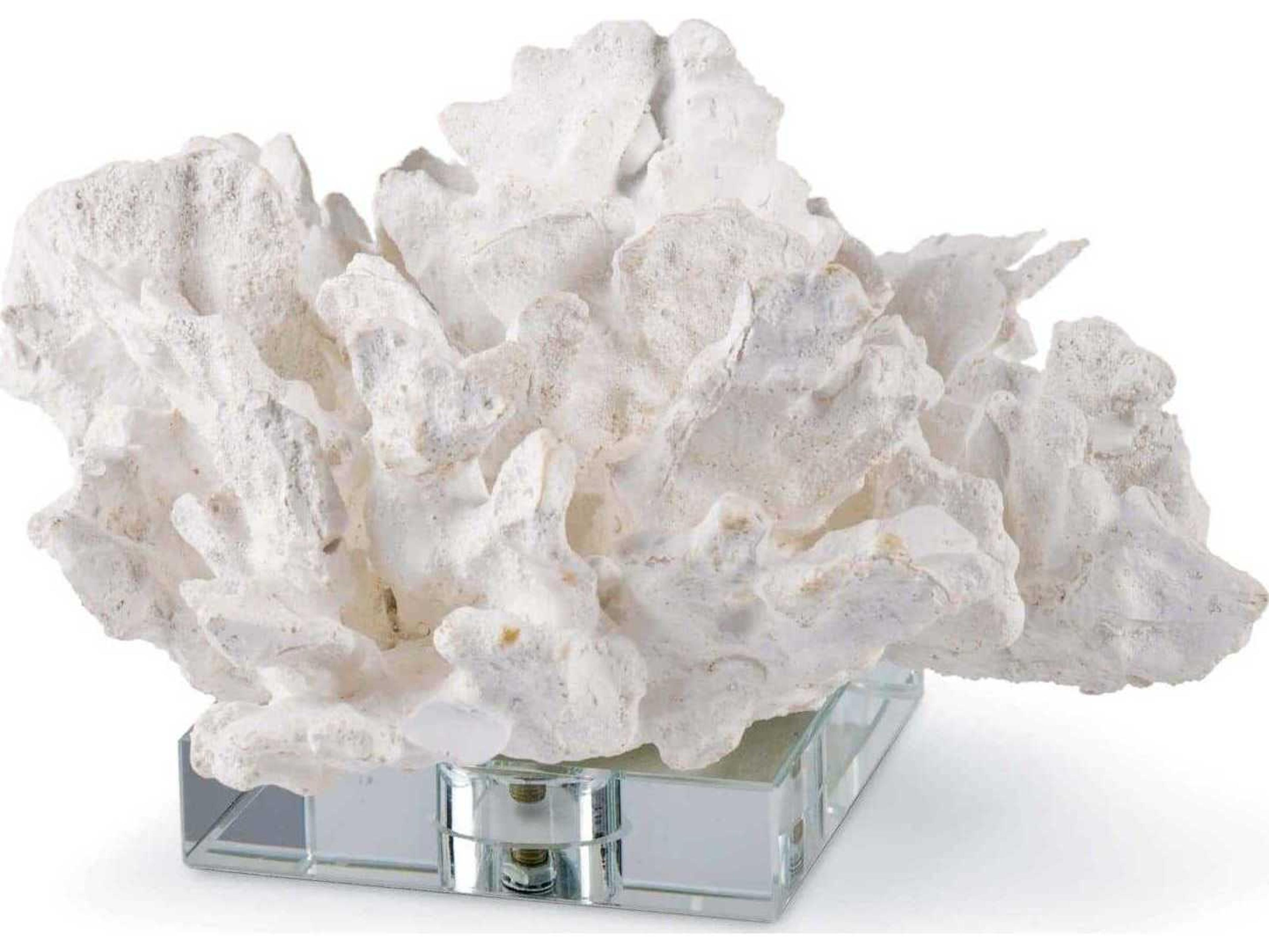 White Flower Coral On Crystal Base