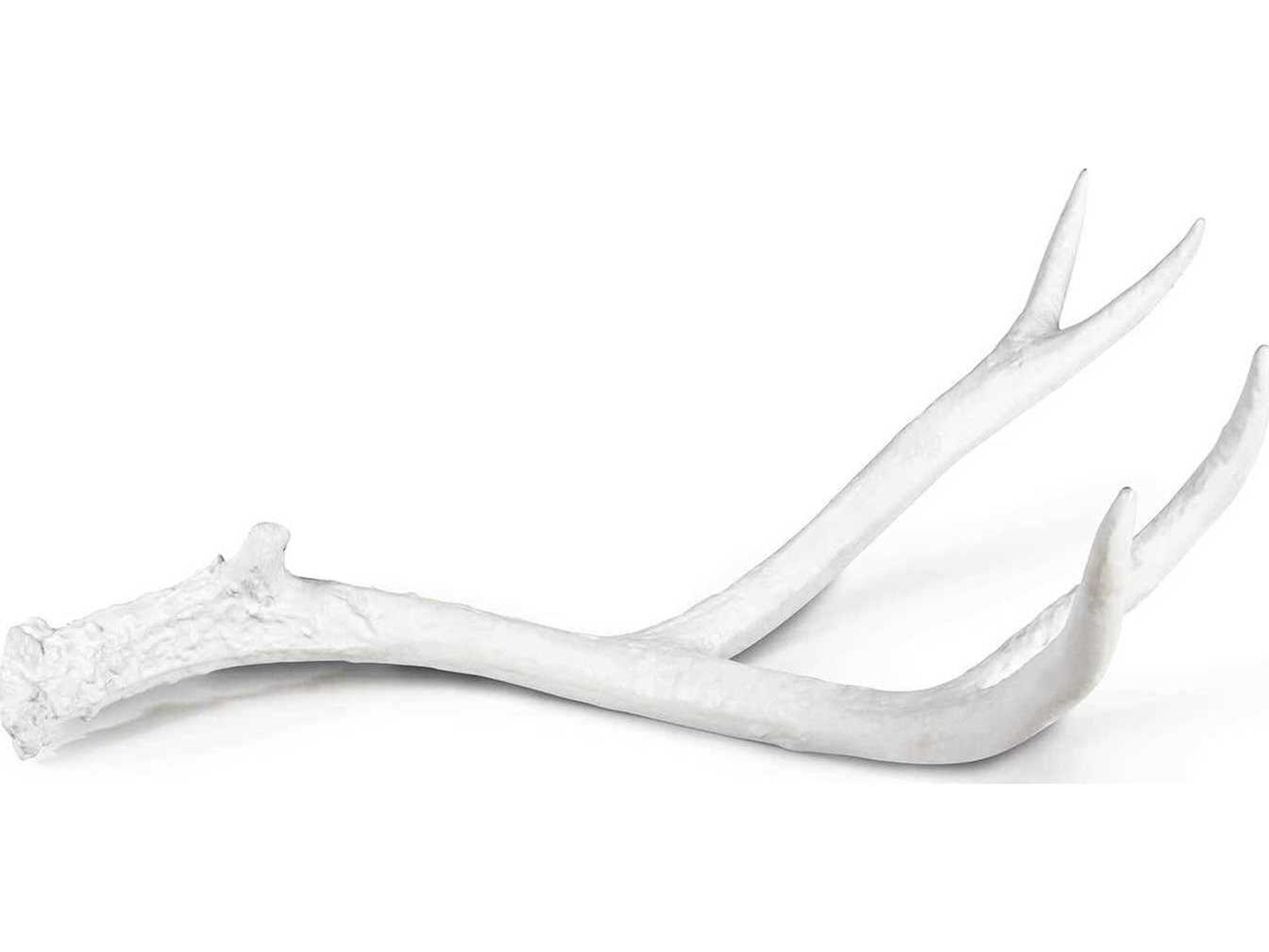 Regina Andrew White 22" Antler Decorative Accent
