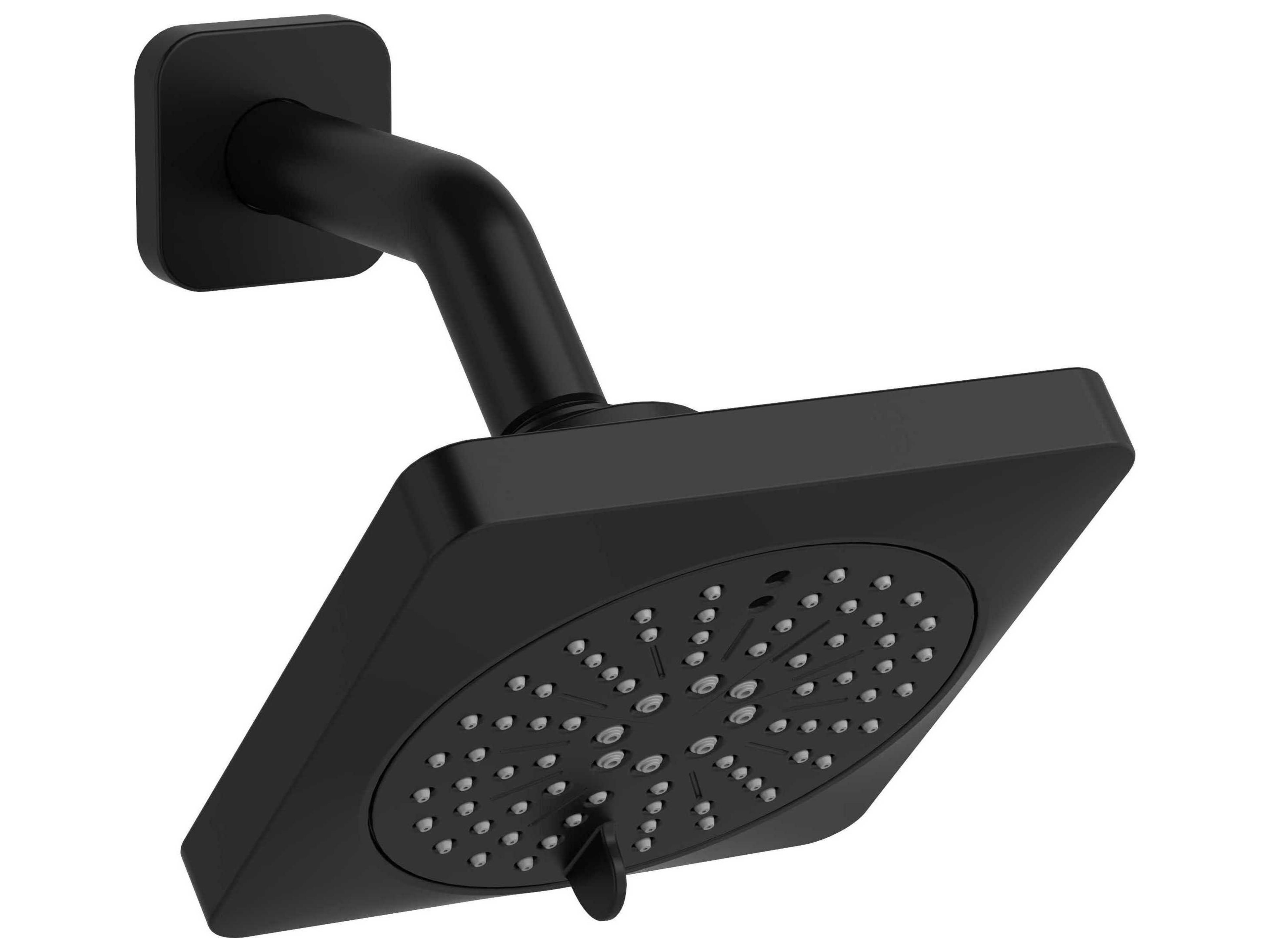 Riobel Black 6-Function Showerhead with Arm