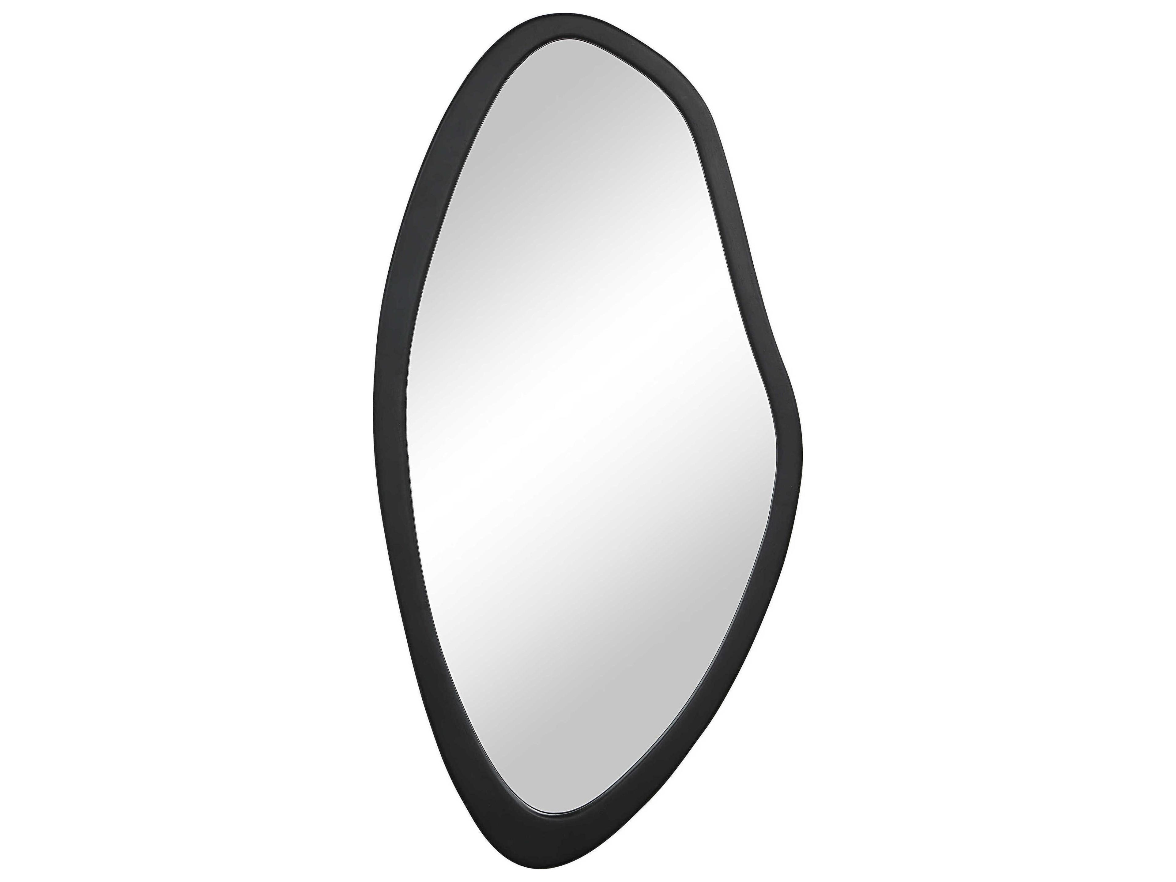 Renwil Trani Matte Black Wall Mirror