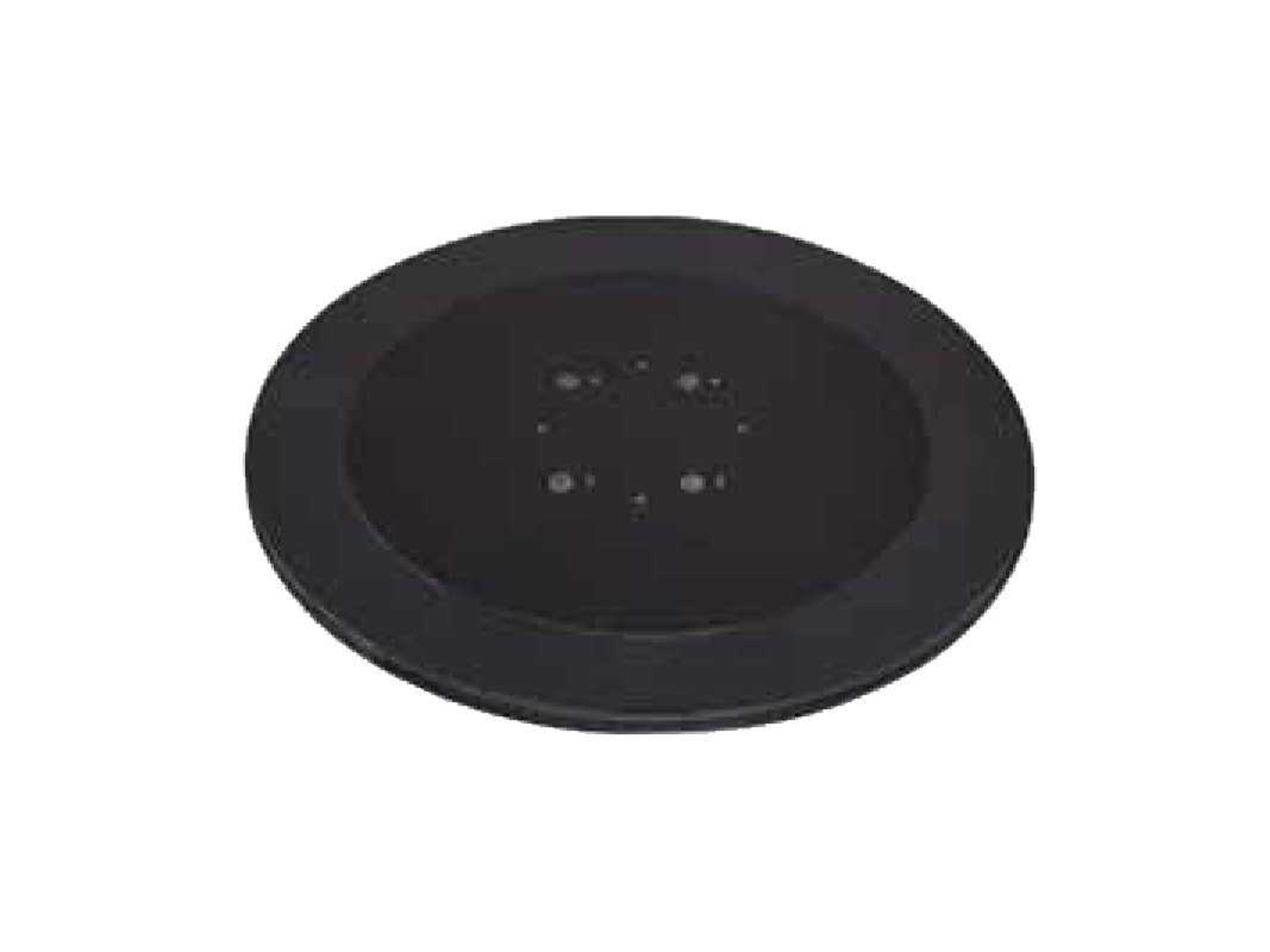 Shademaker 100lbs Round Steel Base Weight