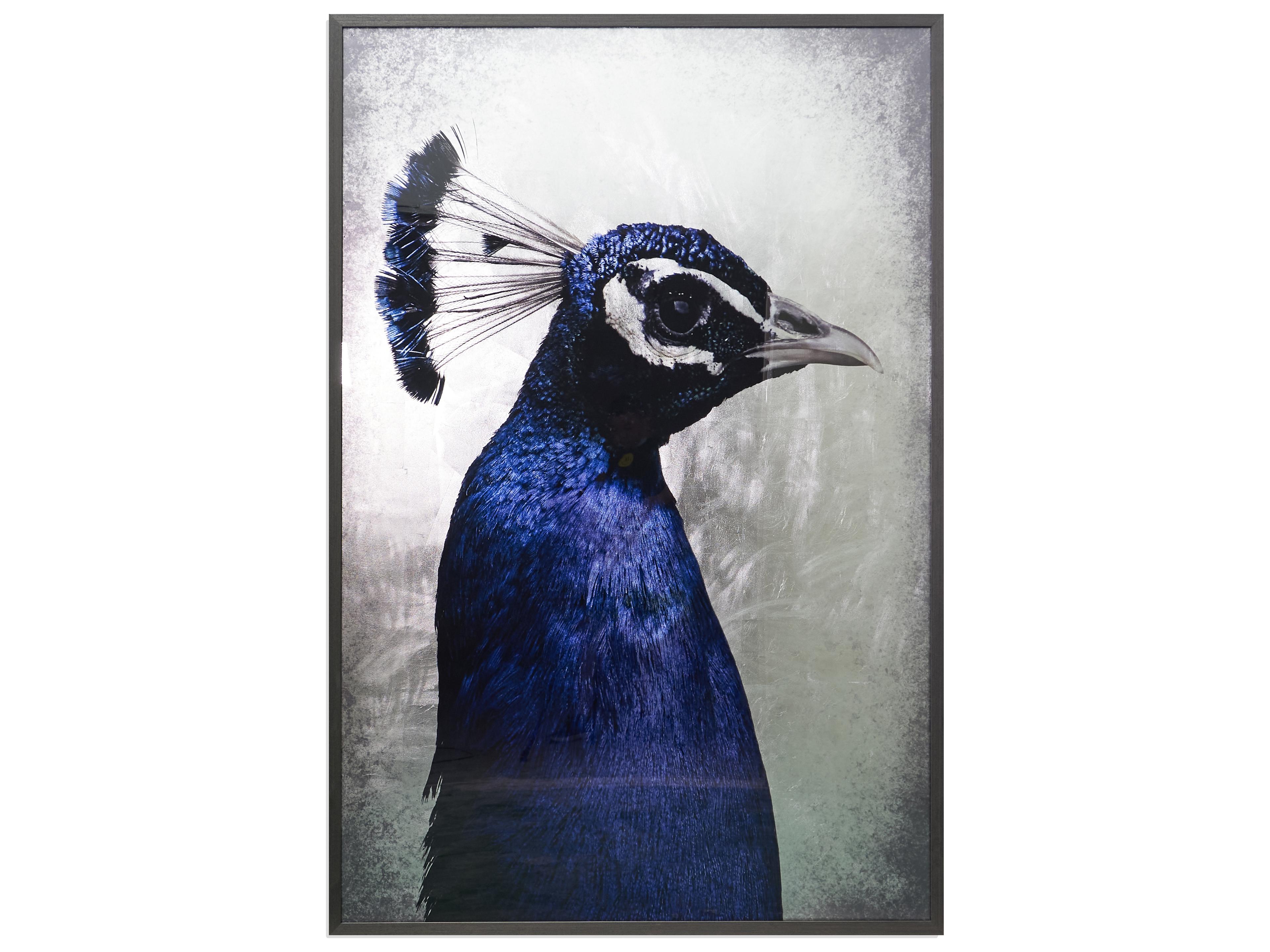 Sunpan Peacook Painting