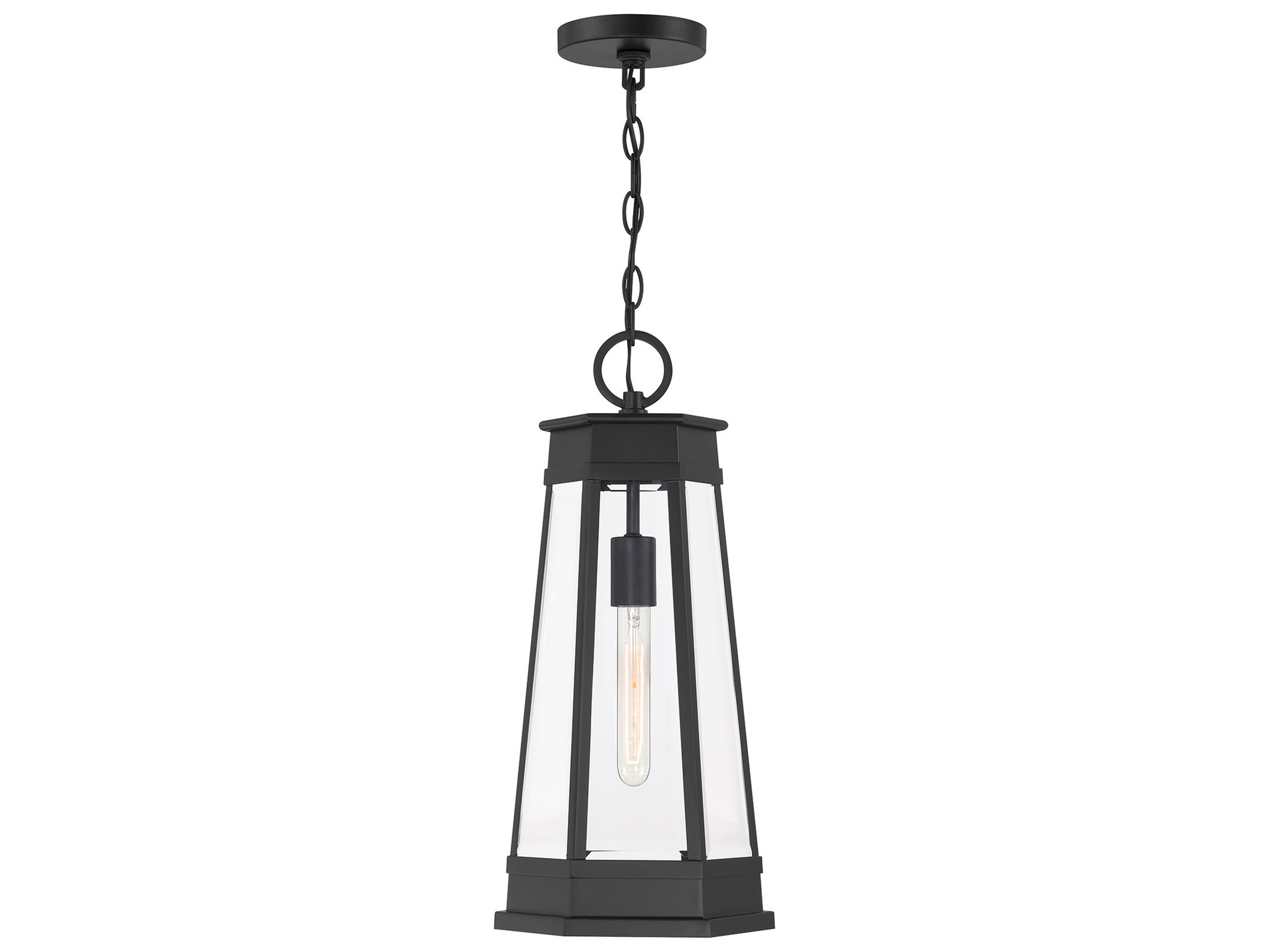 Payne 1-Light Outdoor Hanging Light