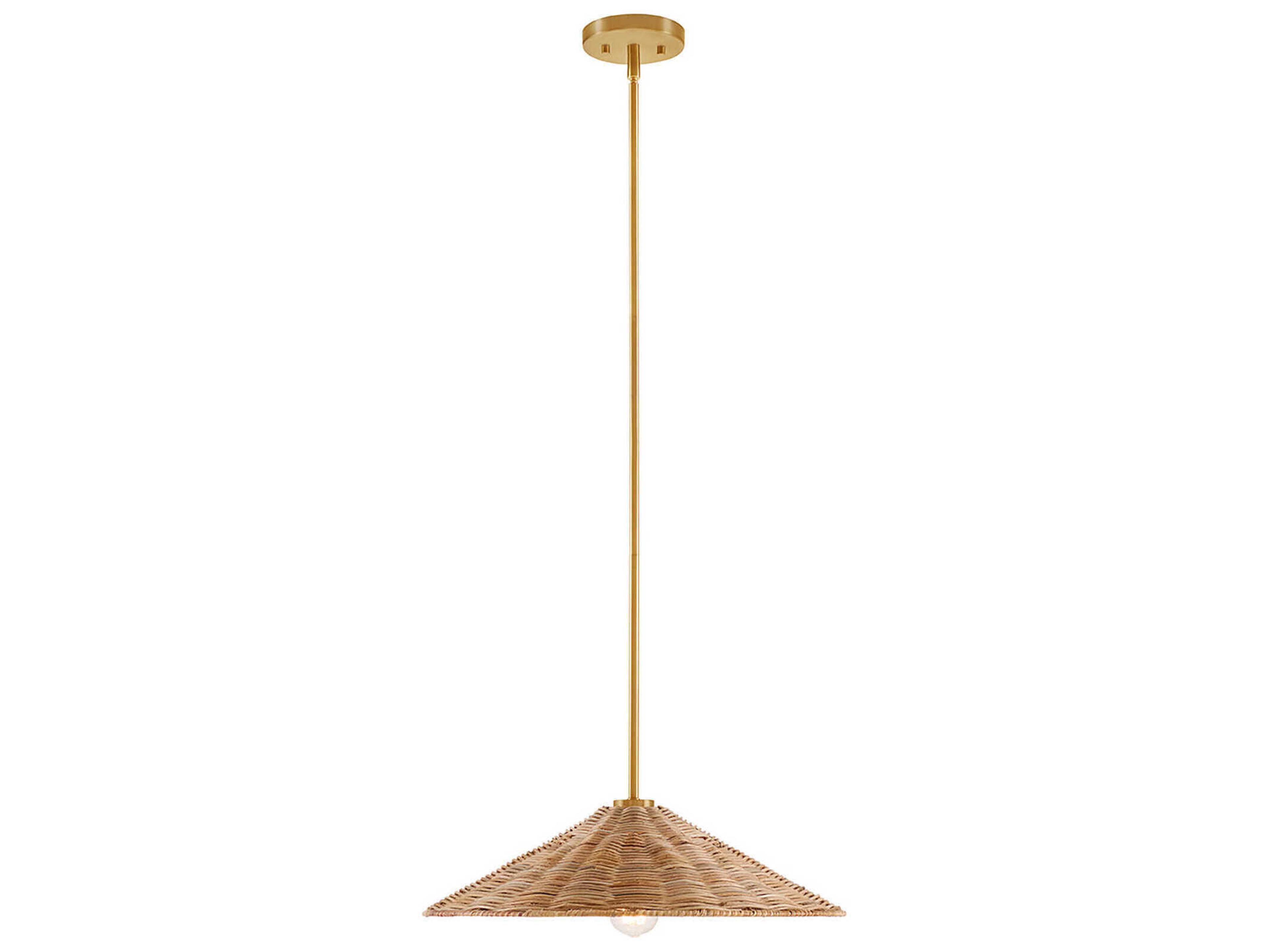 Savoy House Meridian 1-Light Natural Brass Pendant