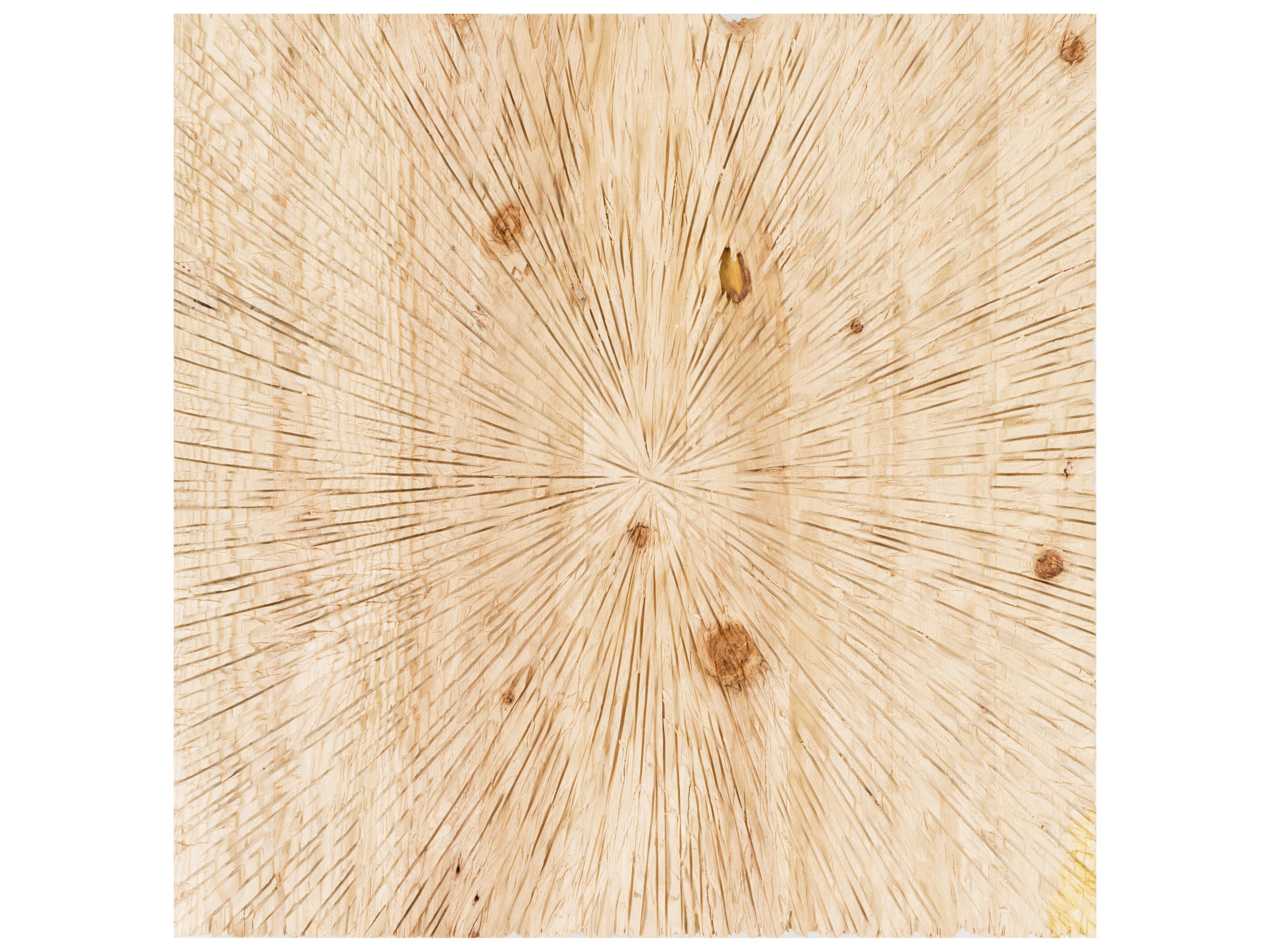 Surya Wall Decor Dimensional Wall Accent