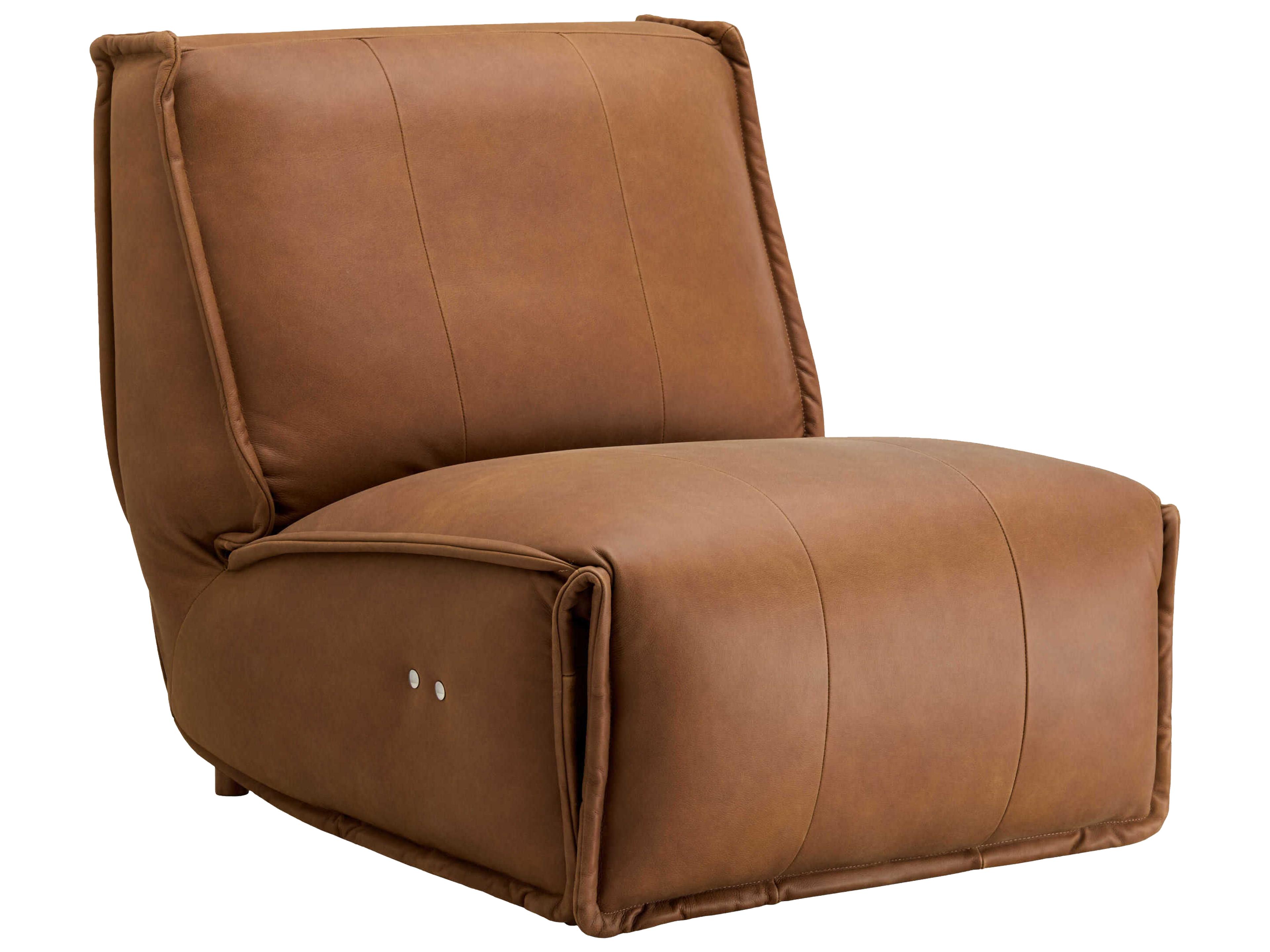Surya Safoga Brown Leather Accent Chair