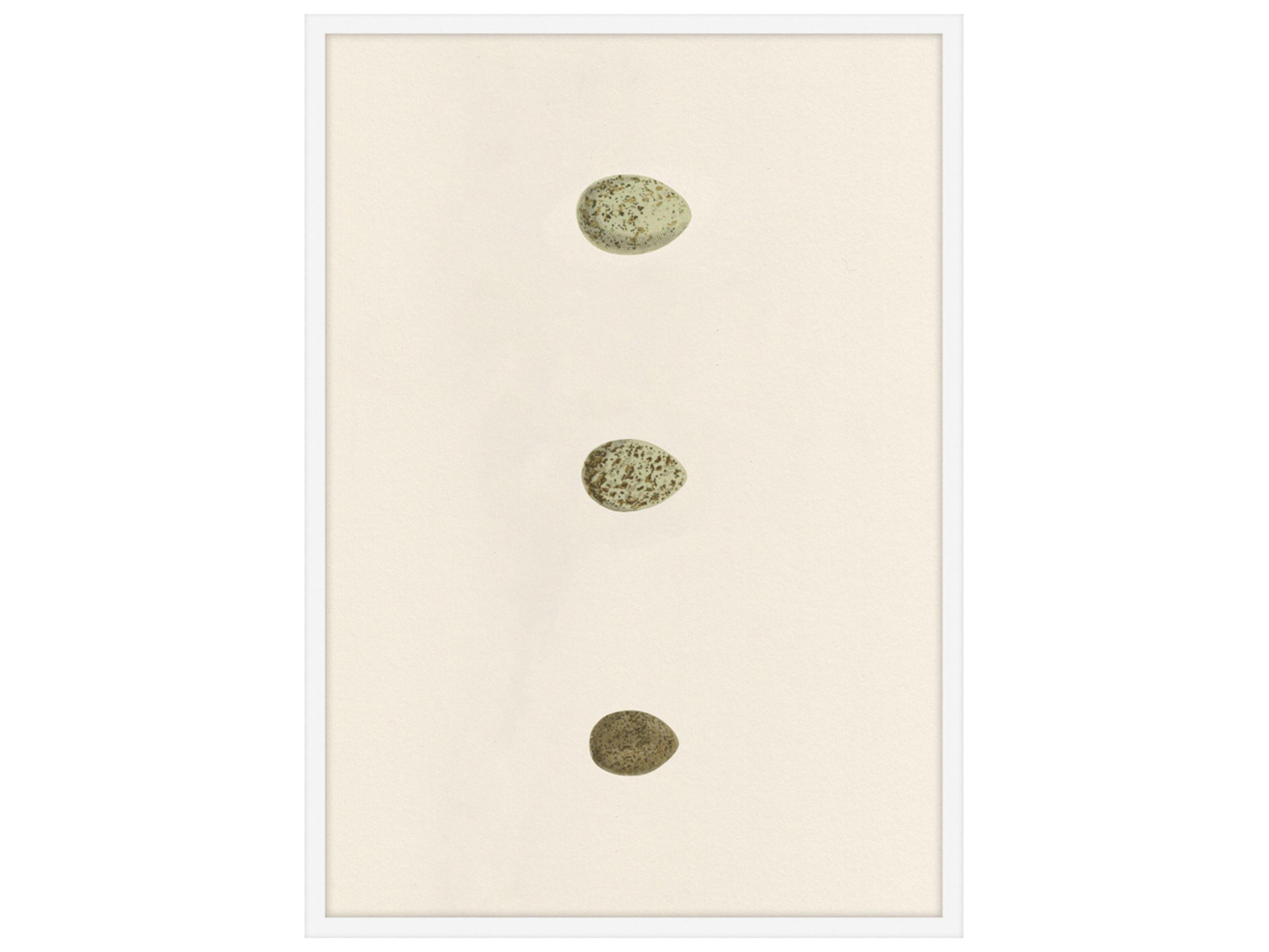 Theodore Alexander Art By Ta