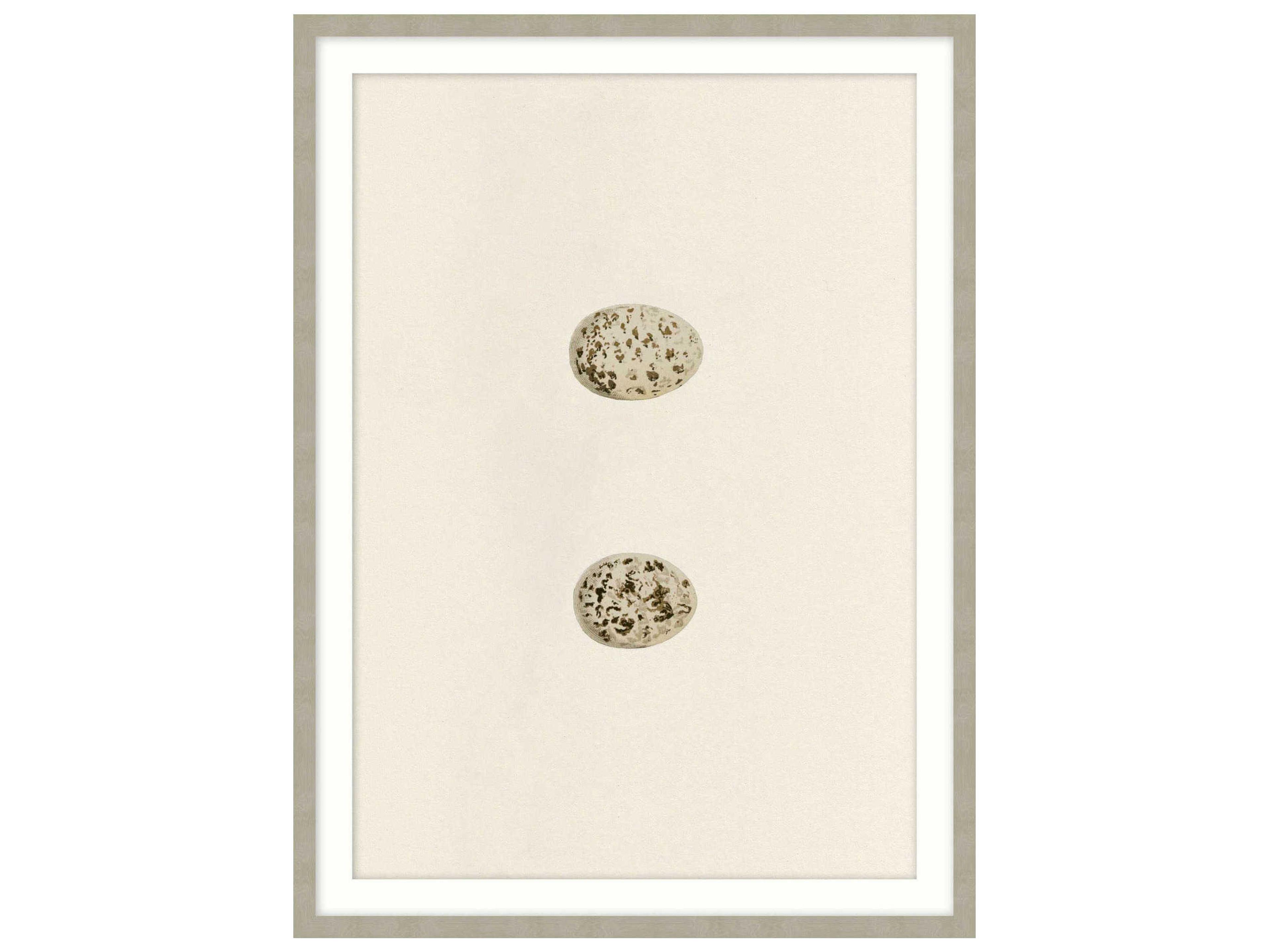 Theodore Alexander Art By Ta Unhatched-4 Wall Art