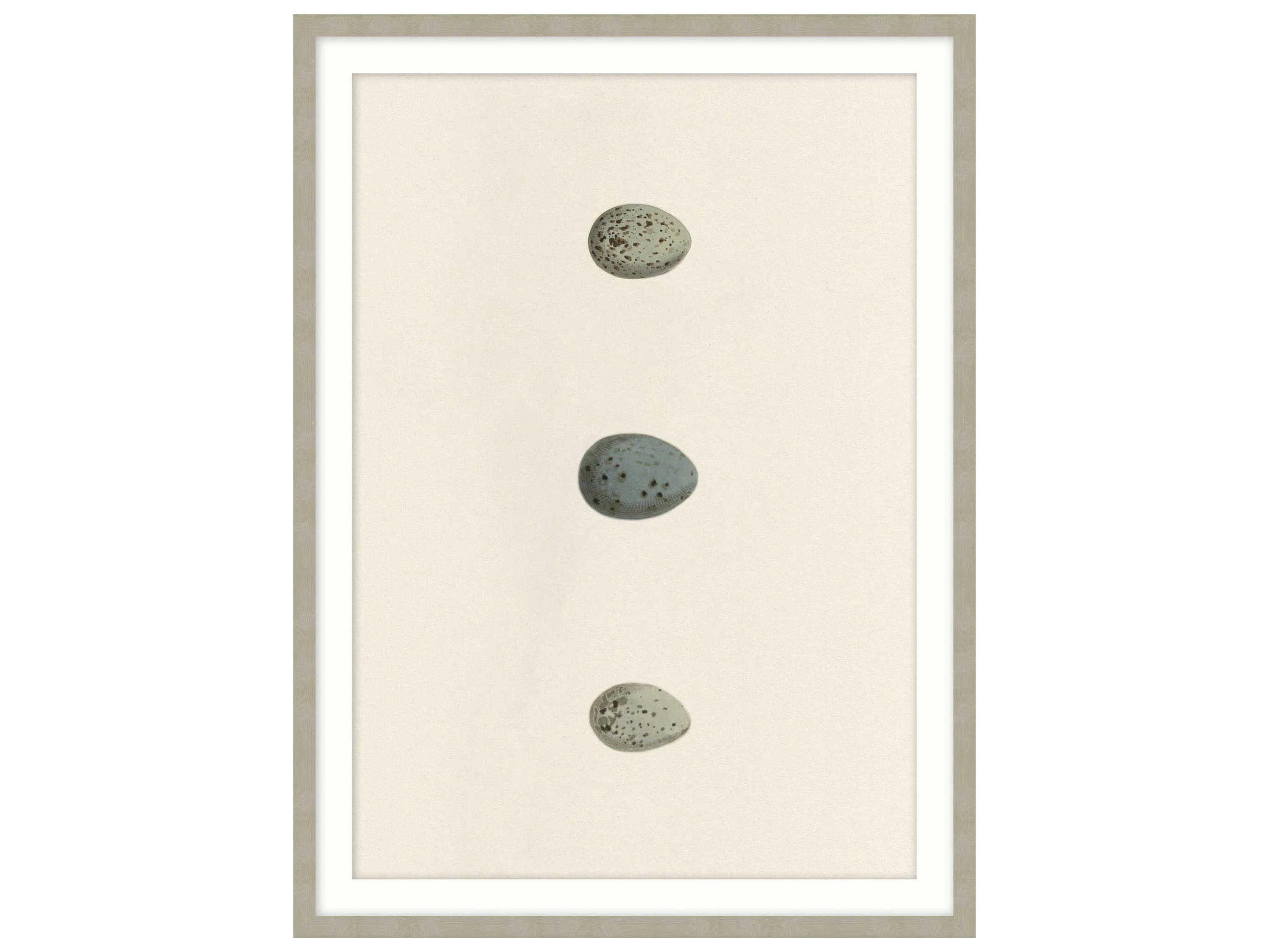 Theodore Alexander Art By Ta Unhatched-6 Wall Art