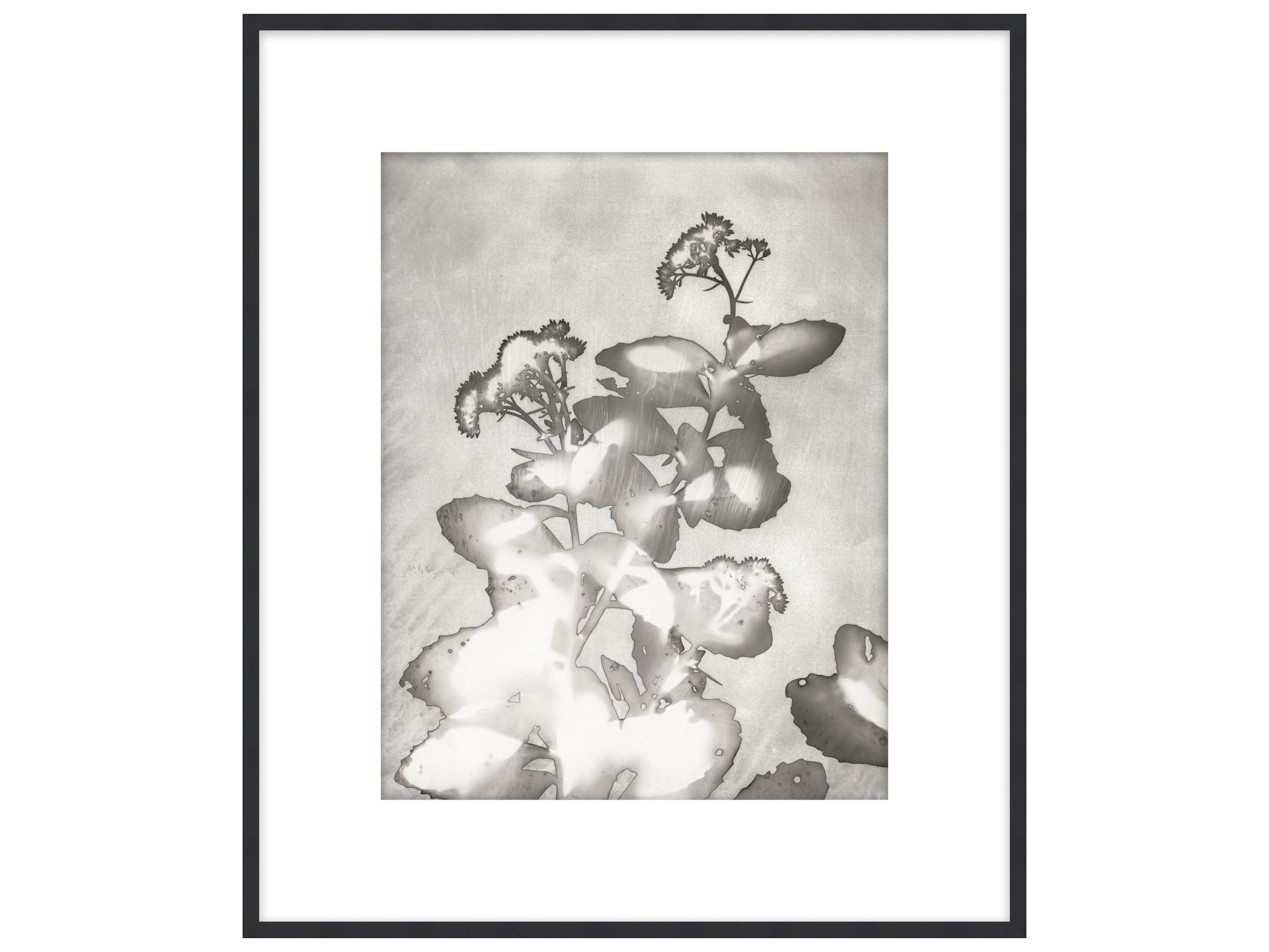 Theodore Alexander Art By Ta