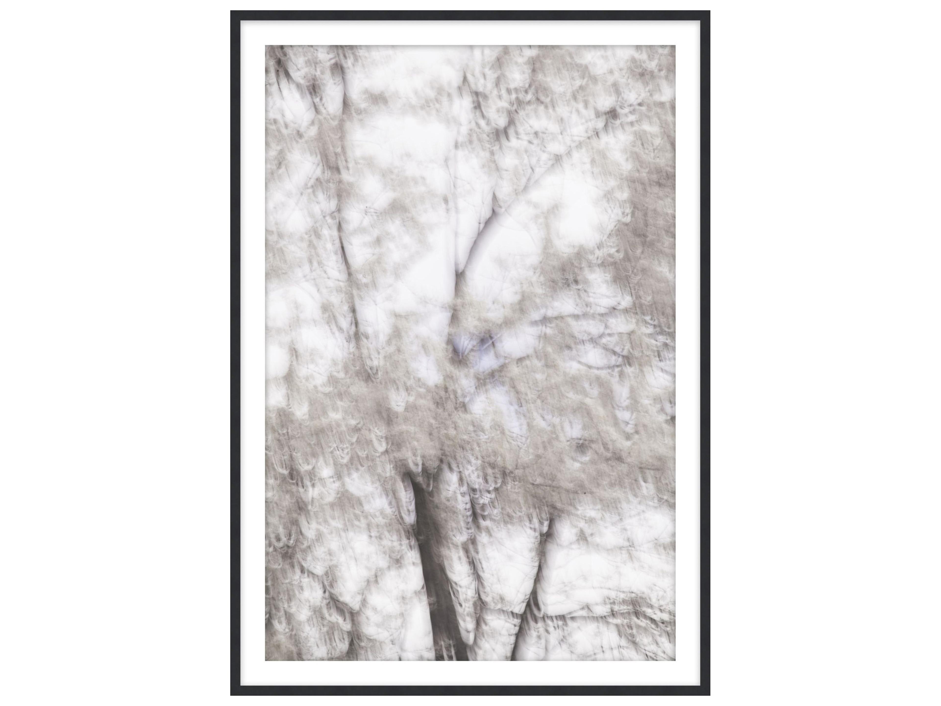 Theodore Alexander Art By Ta