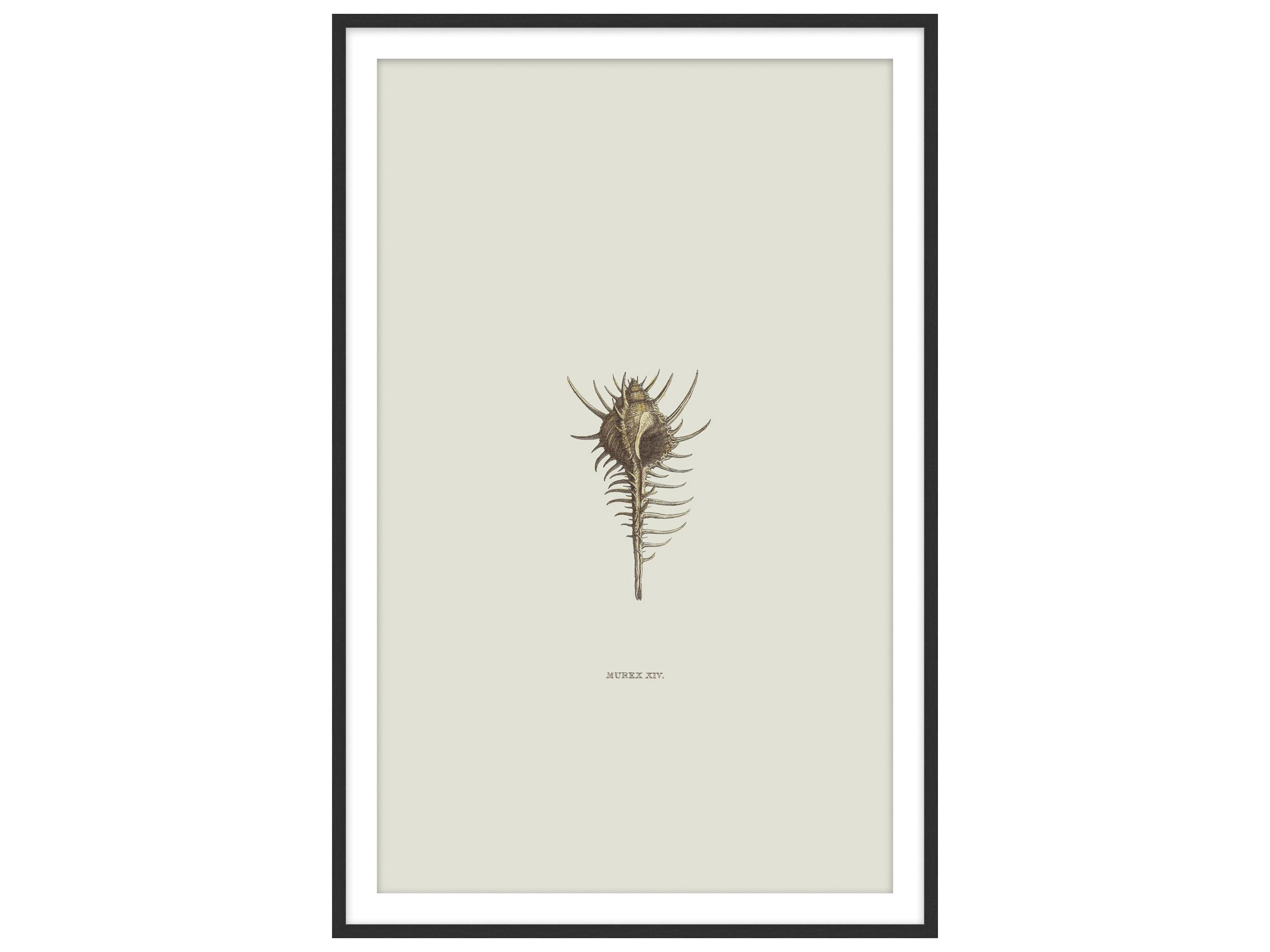 Theodore Alexander Art By Ta