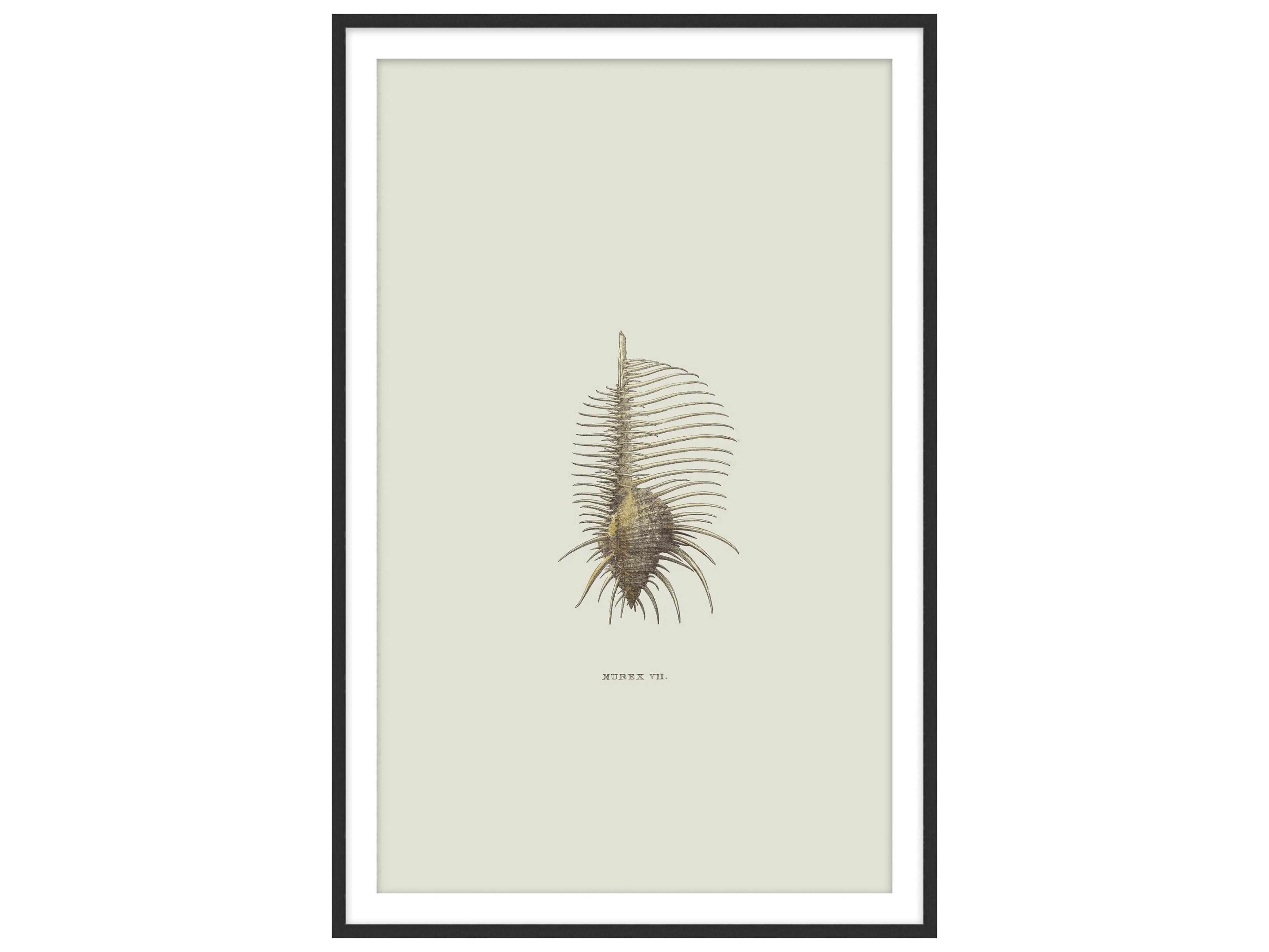 Theodore Alexander Art By Ta