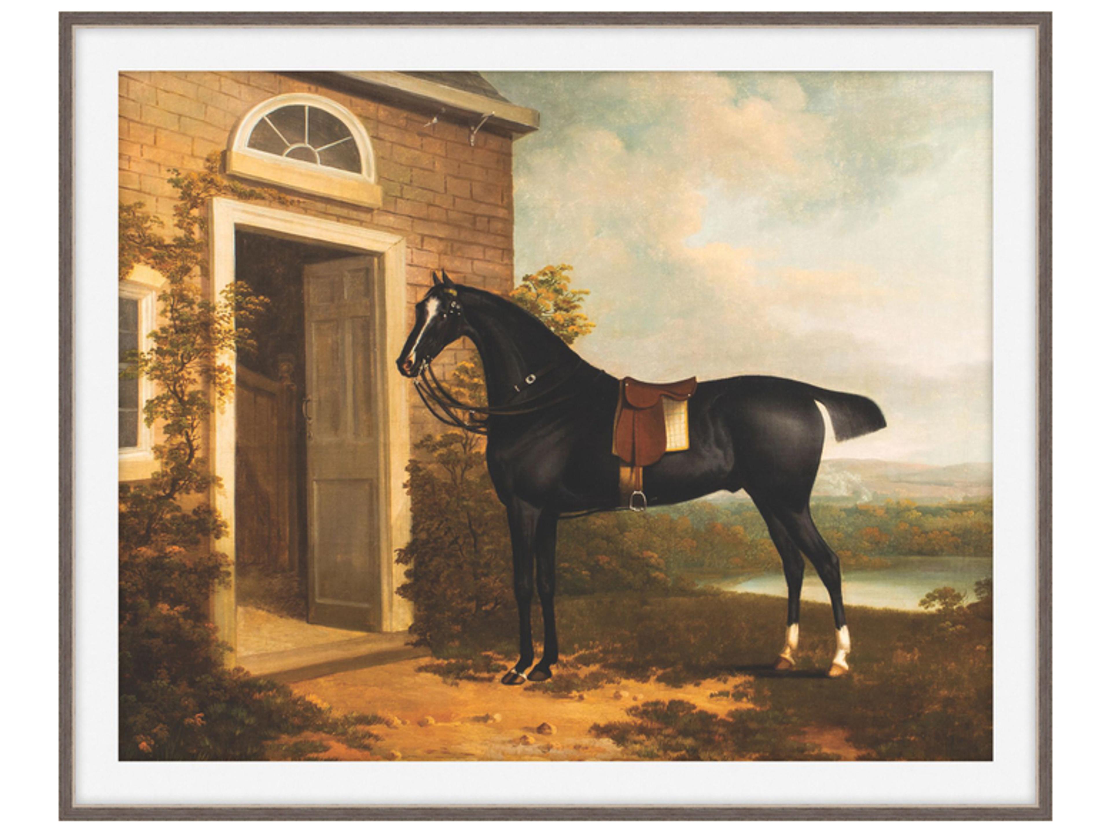 Theodore Alexander Art By Ta