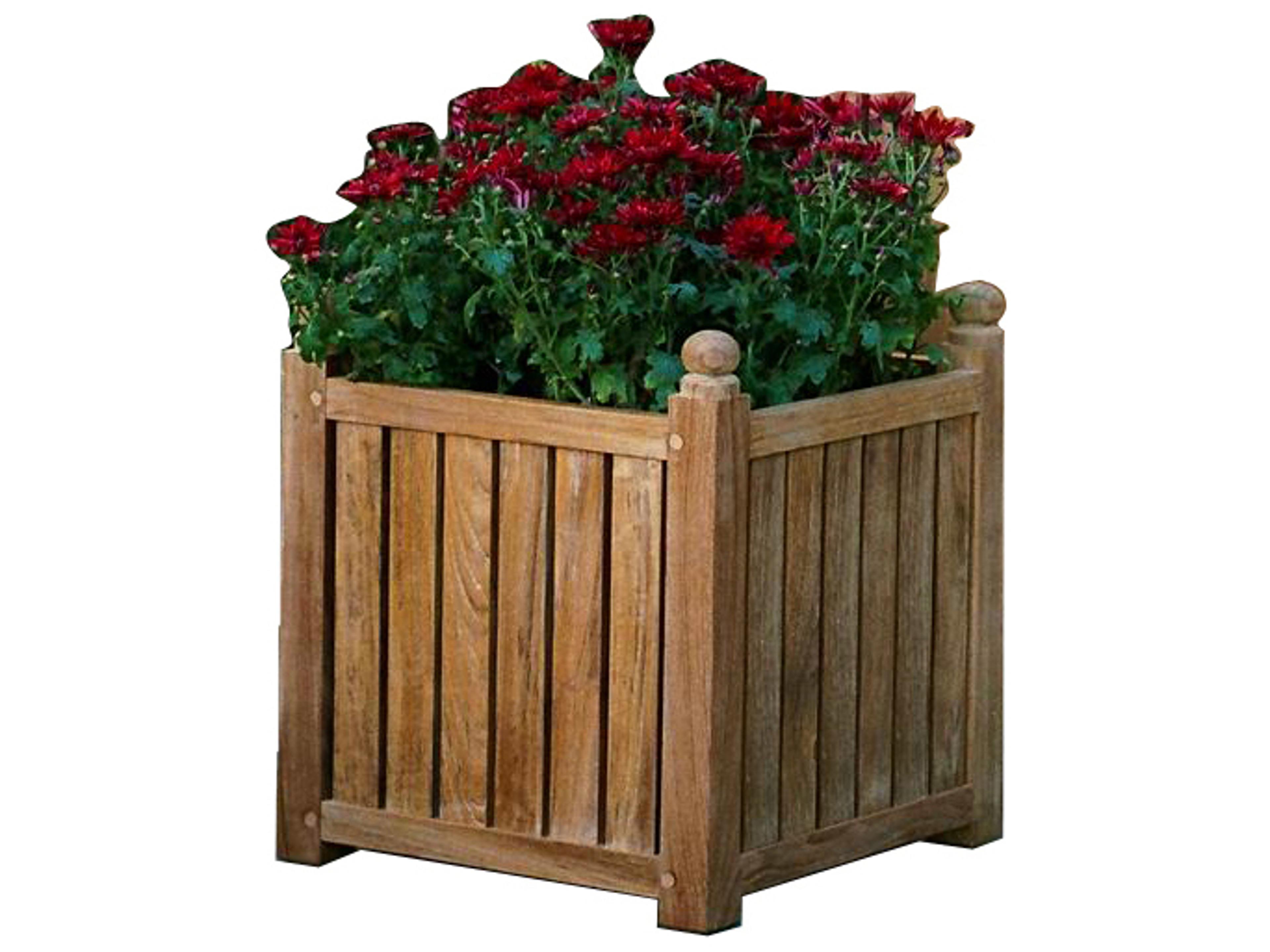 Three Birds Casual Teak Medium Flower Box