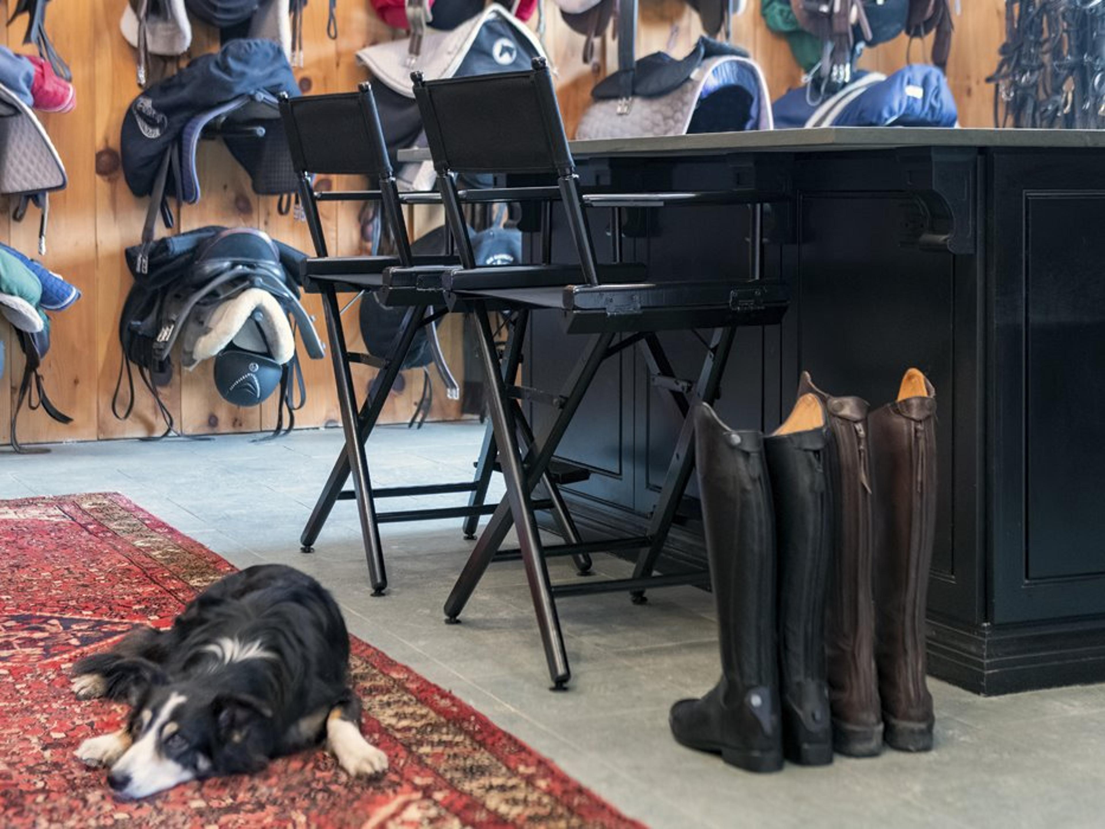 Telescope Casual Director Chairs Wood Sling Chair Set