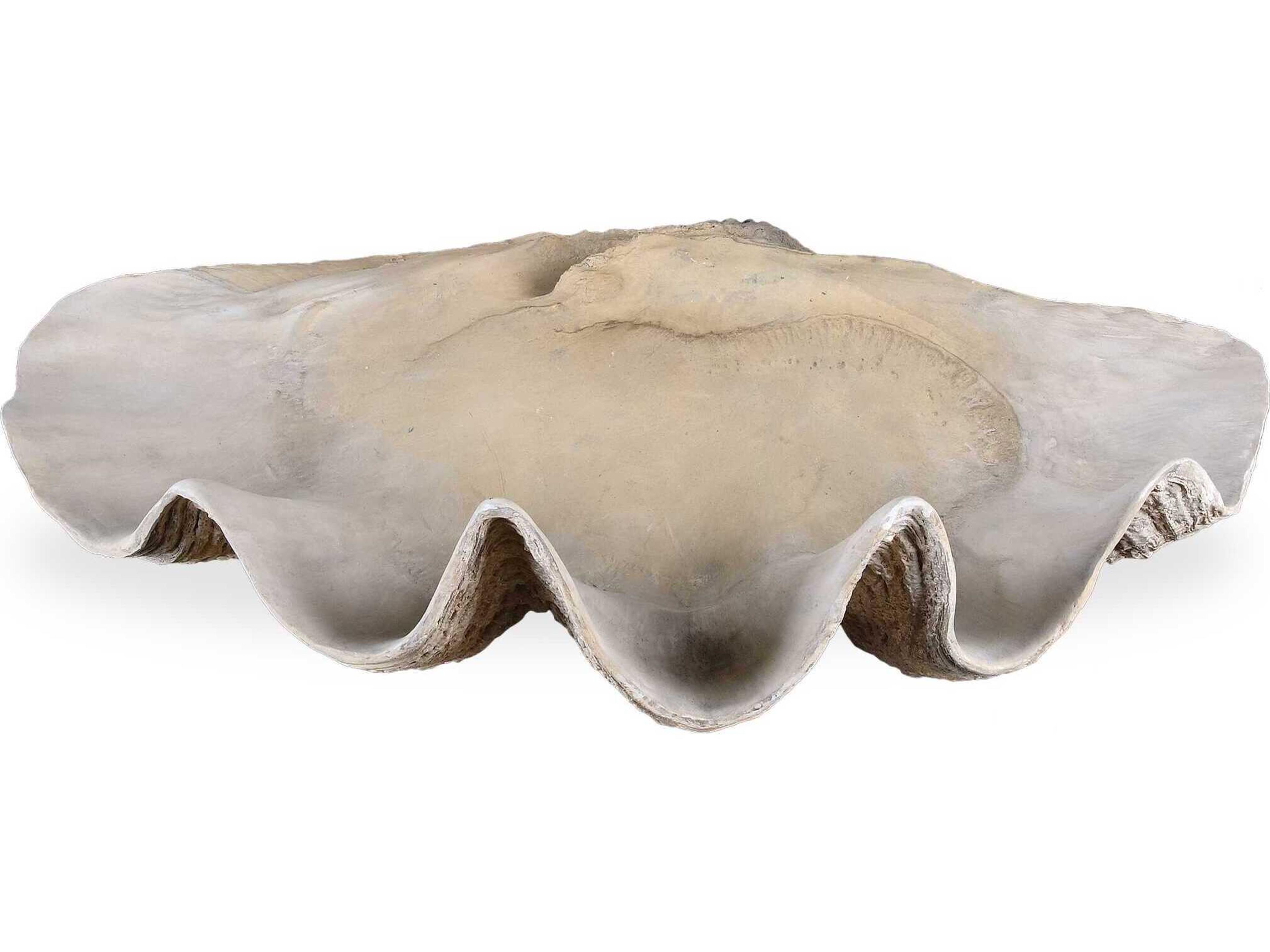 Uttermost Clam Shell Bowl