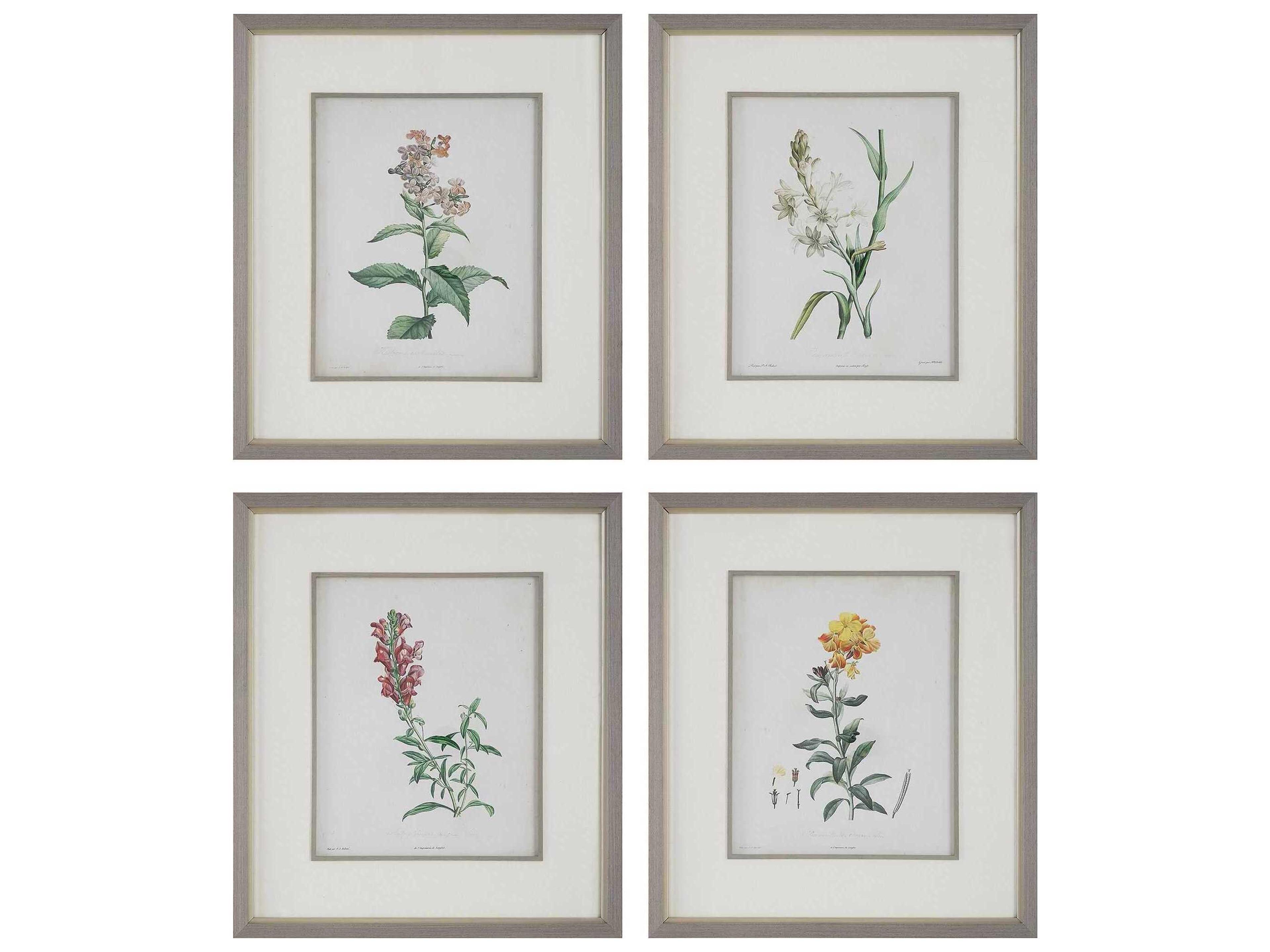 Uttermost Heirloom Blooms Study Framed Prints Set of 4