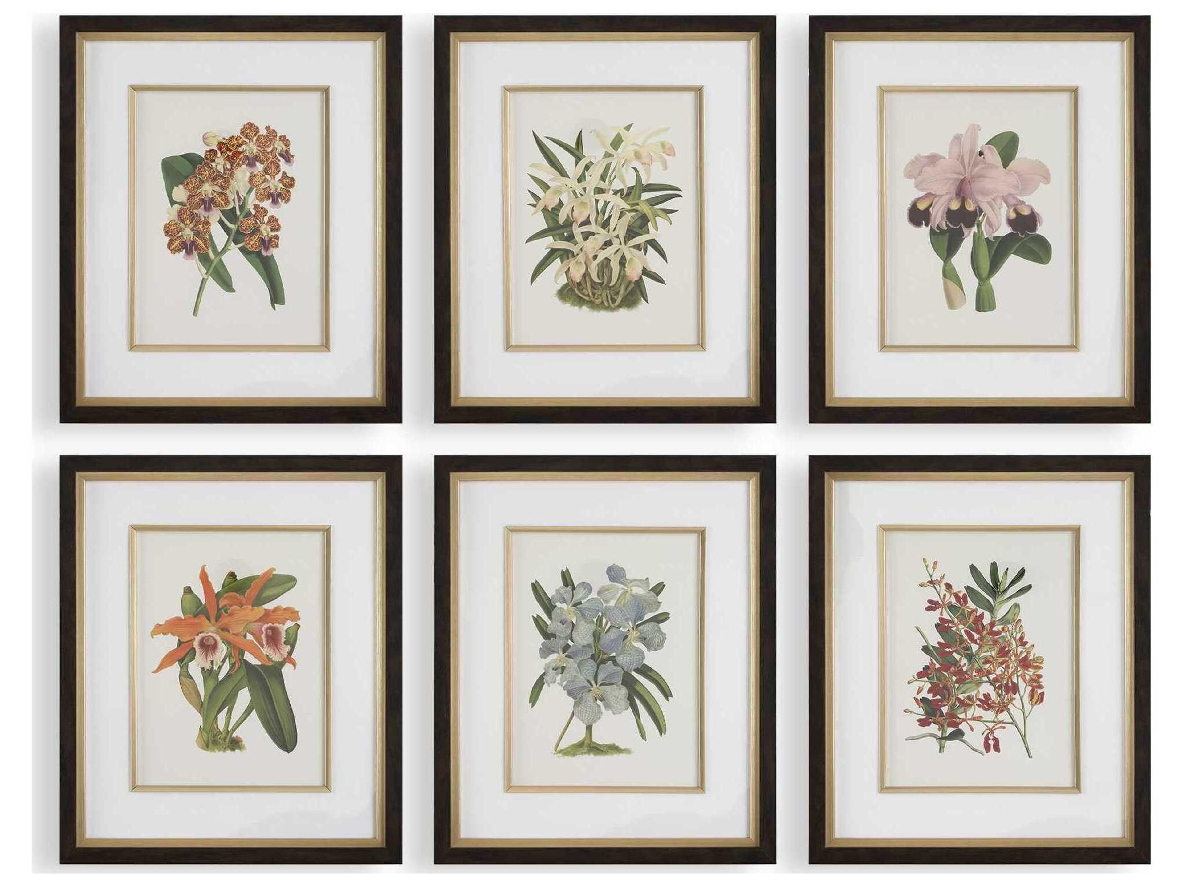 Uttermost Orchid Botanical Framed Prints Set of 6
