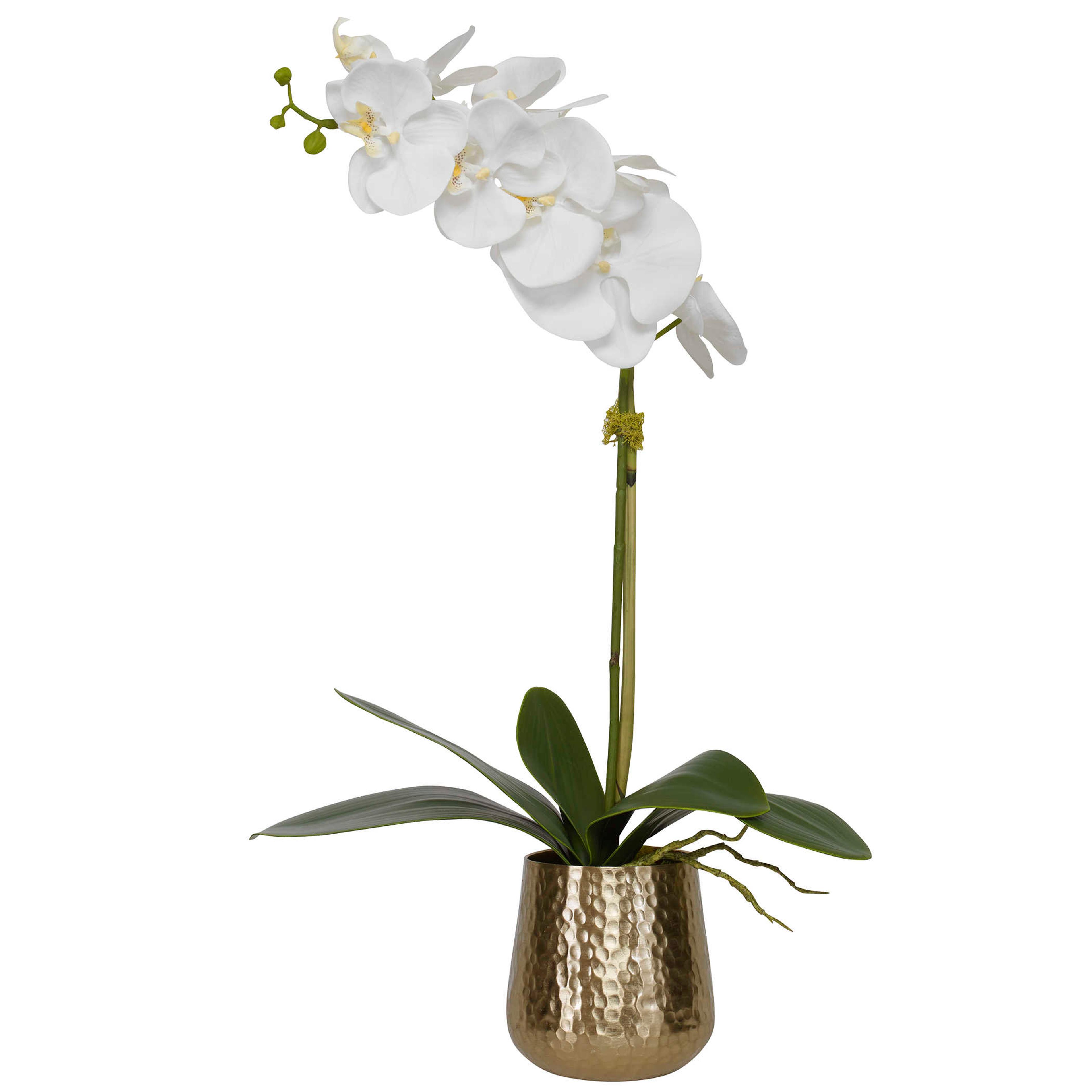 Uttermost Cami Orchid Brass Botanical