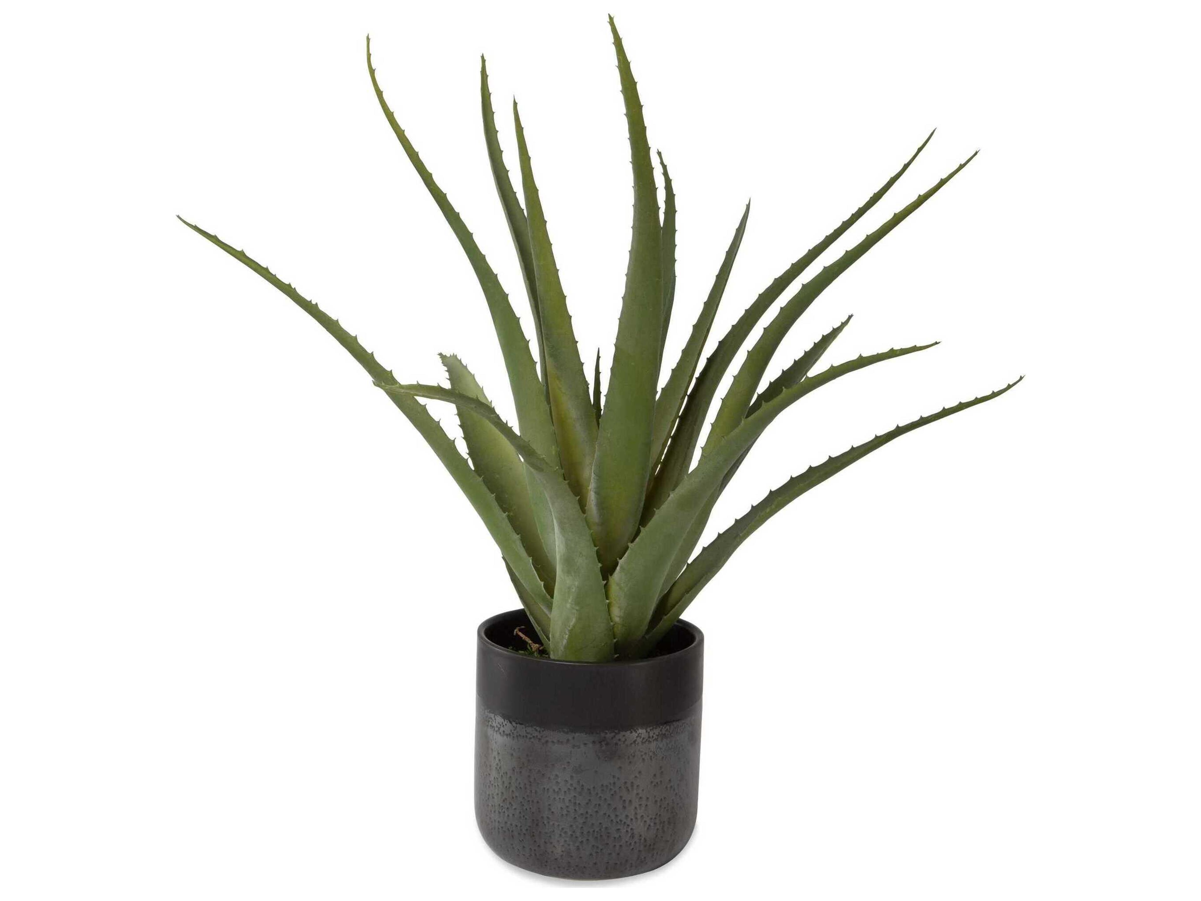 Uttermost Tucson Aloe Planter