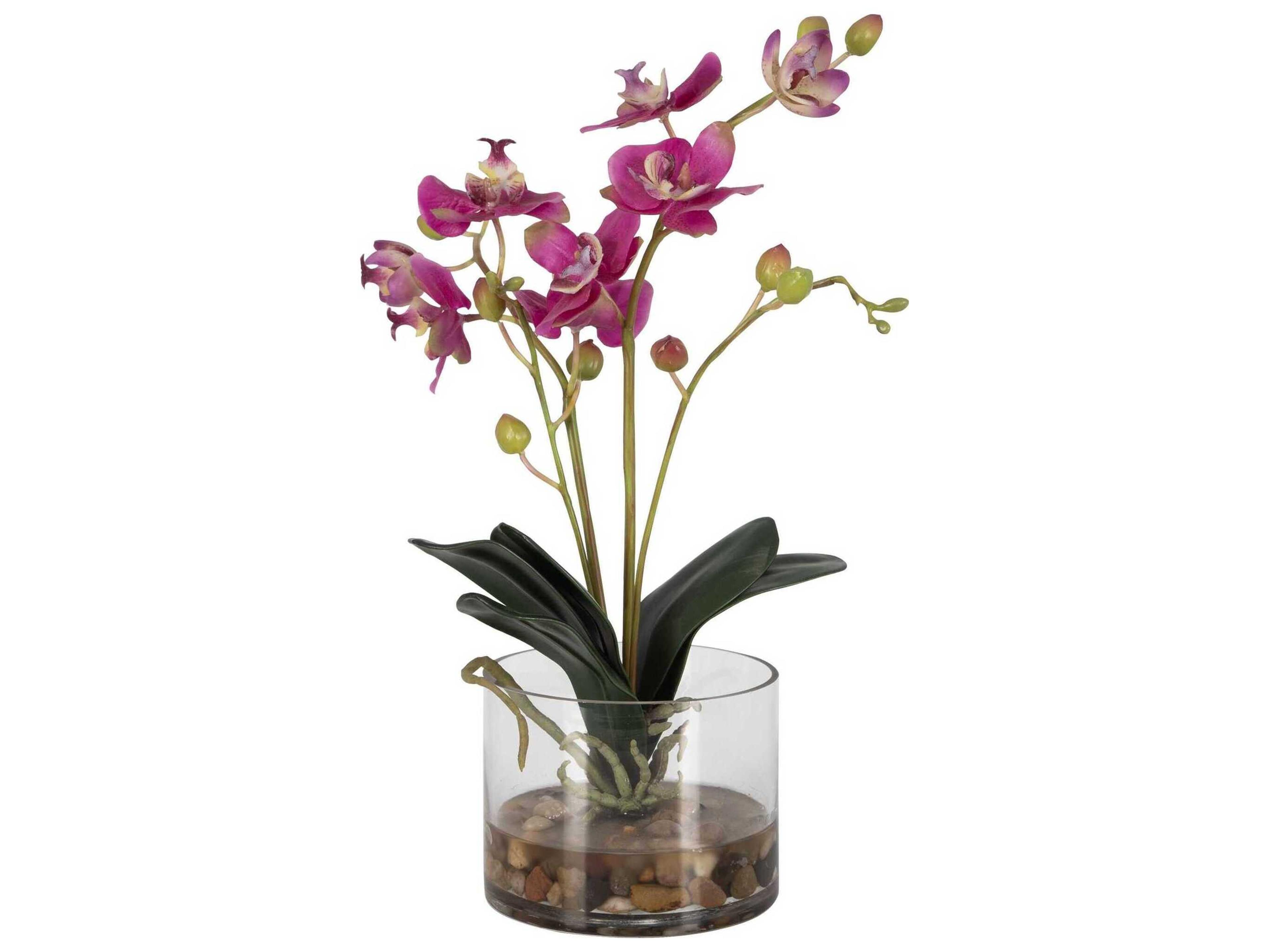 Uttermost Glory Fuchsia Orchid