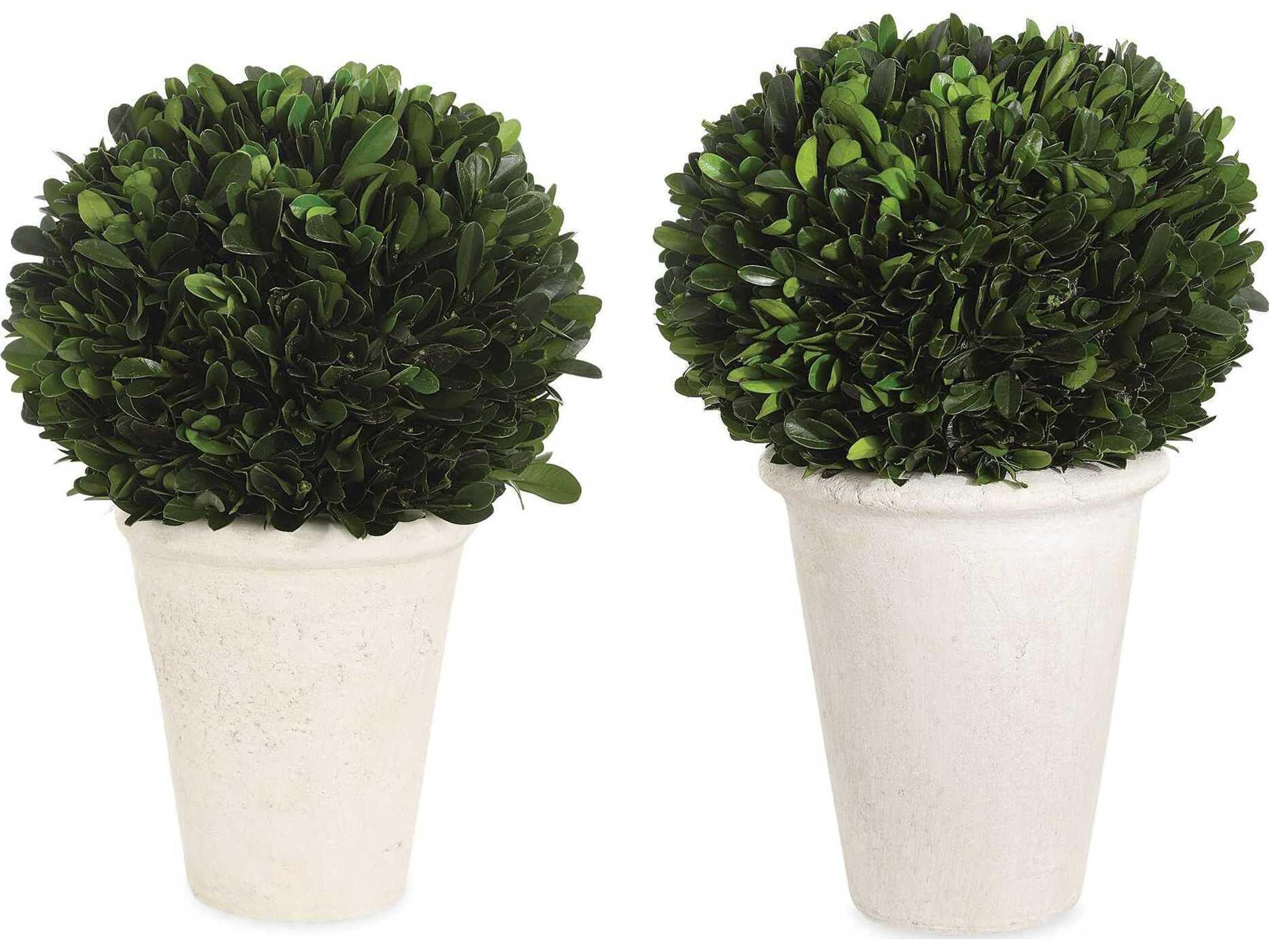 Uttermost Preserved Boxwood Domes (Set of 2)