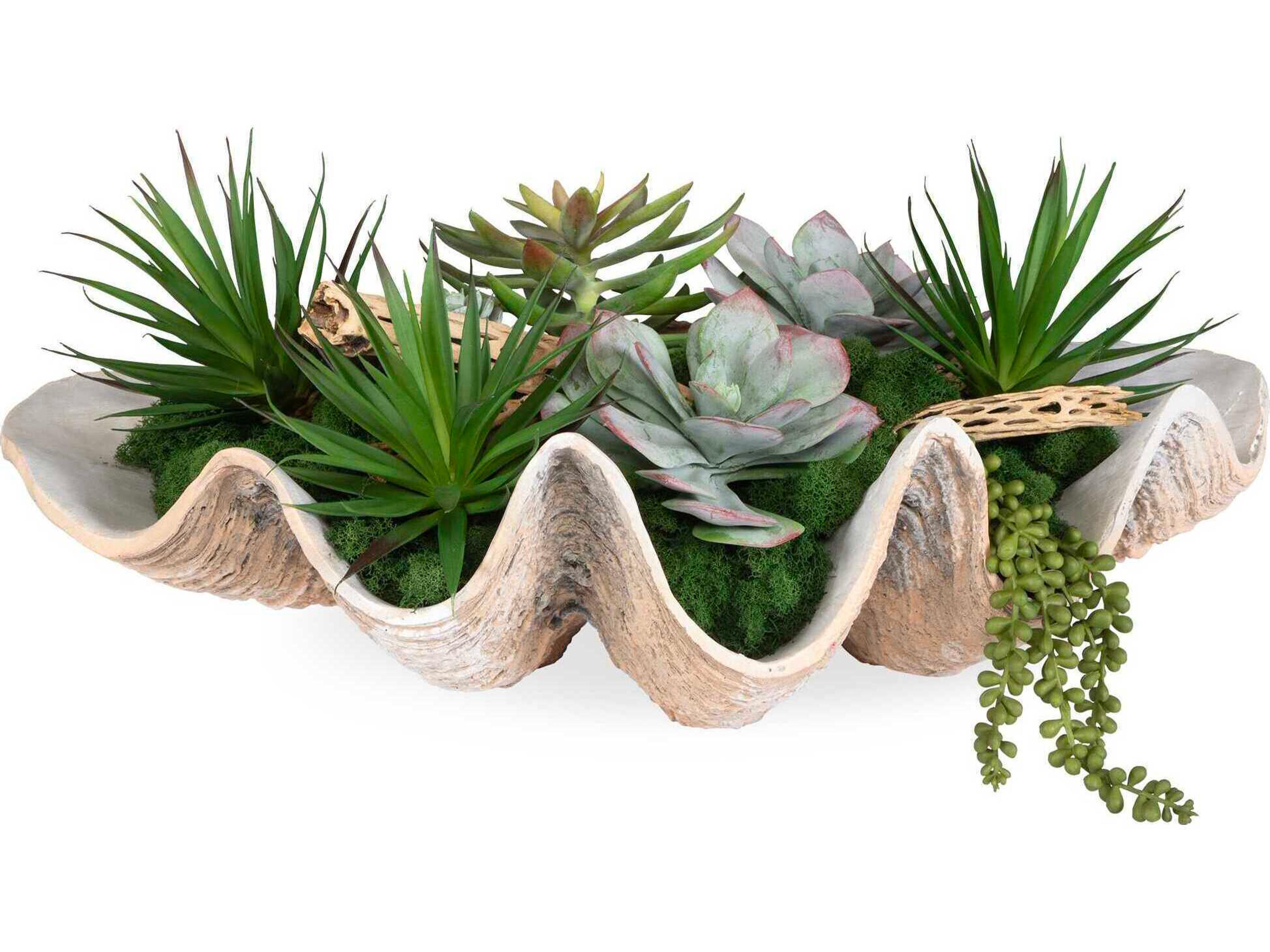 Uttermost Seaside Breeze Succulents
