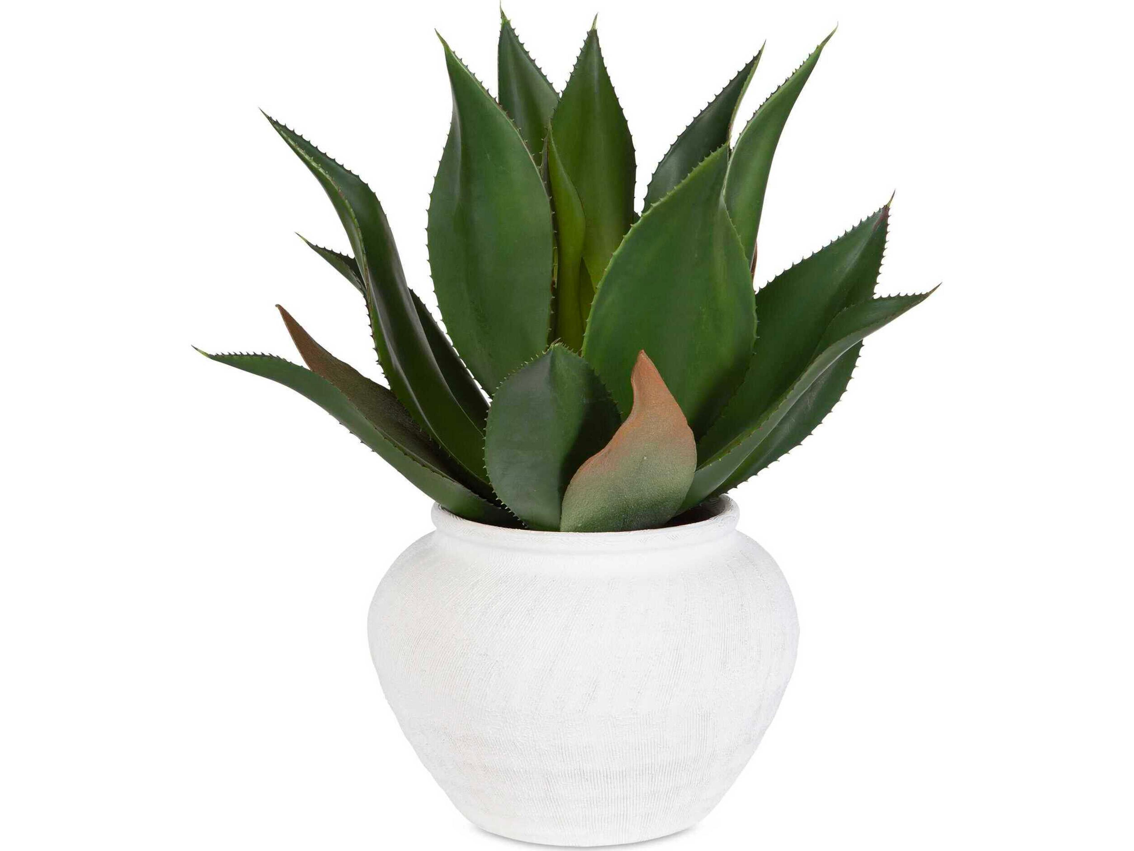 Uttermost Tierra Agave Centerpiece with Vase