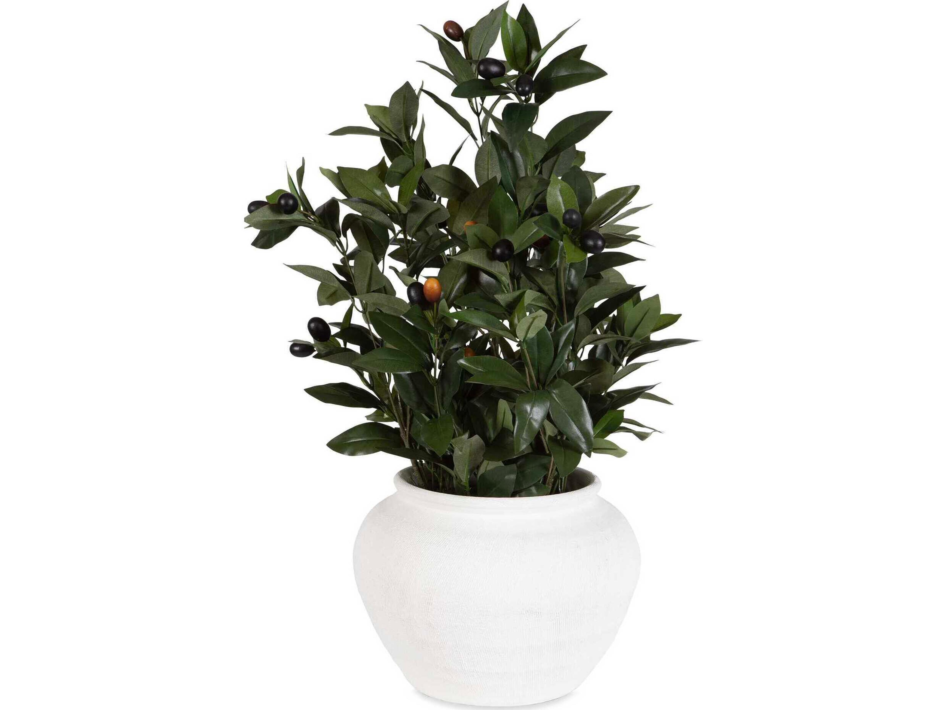 Uttermost Elena Olive Centerpiece