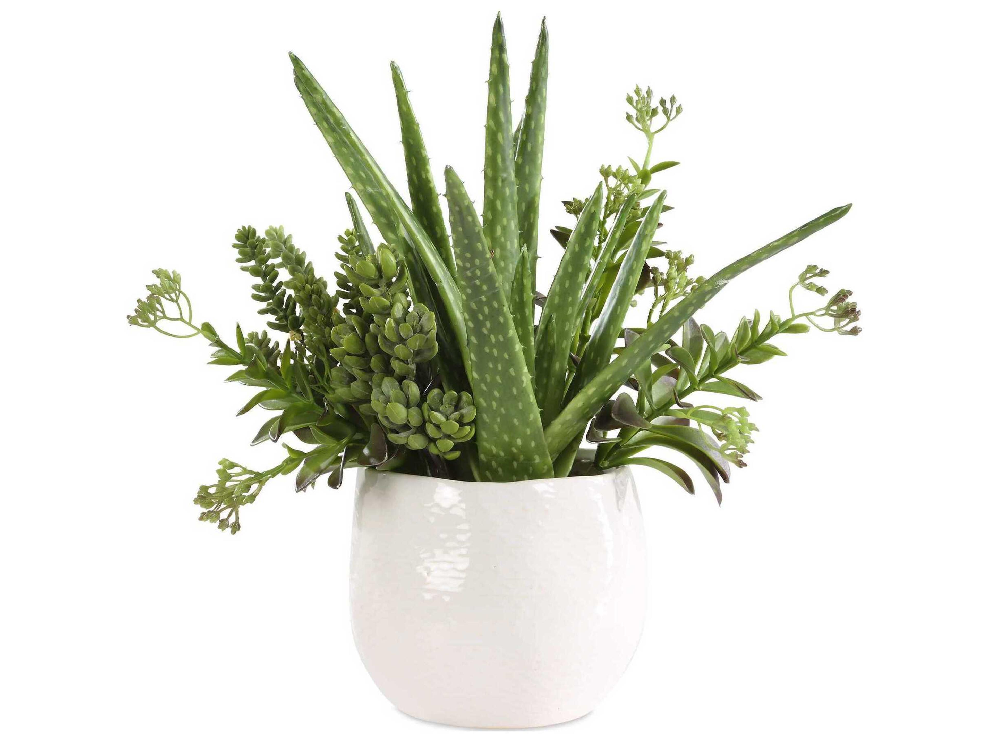 Uttermost Sundown Succulent Accent Planter