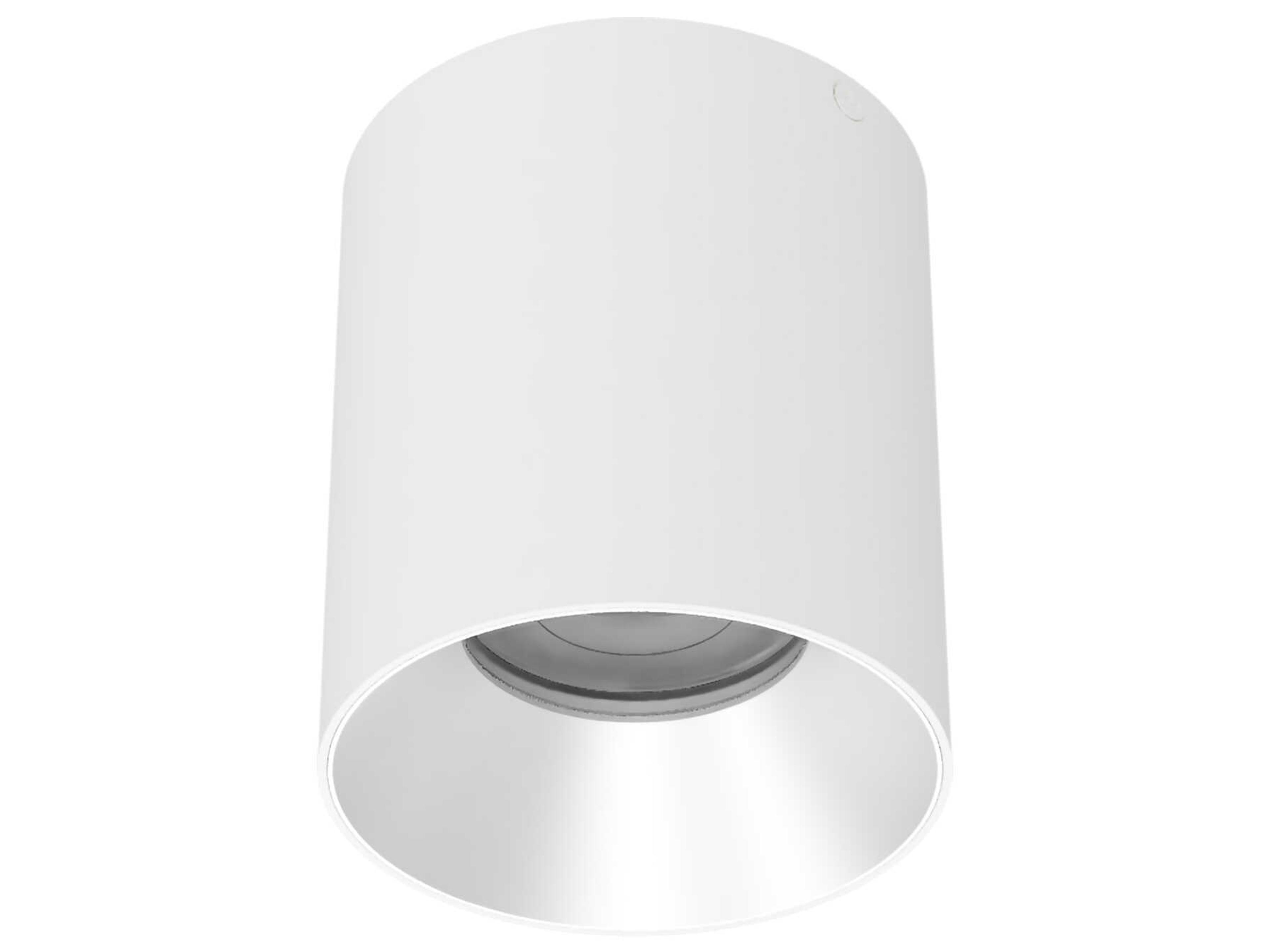 Zoron Round 1-Light Trimless Outdoor Ceiling Light