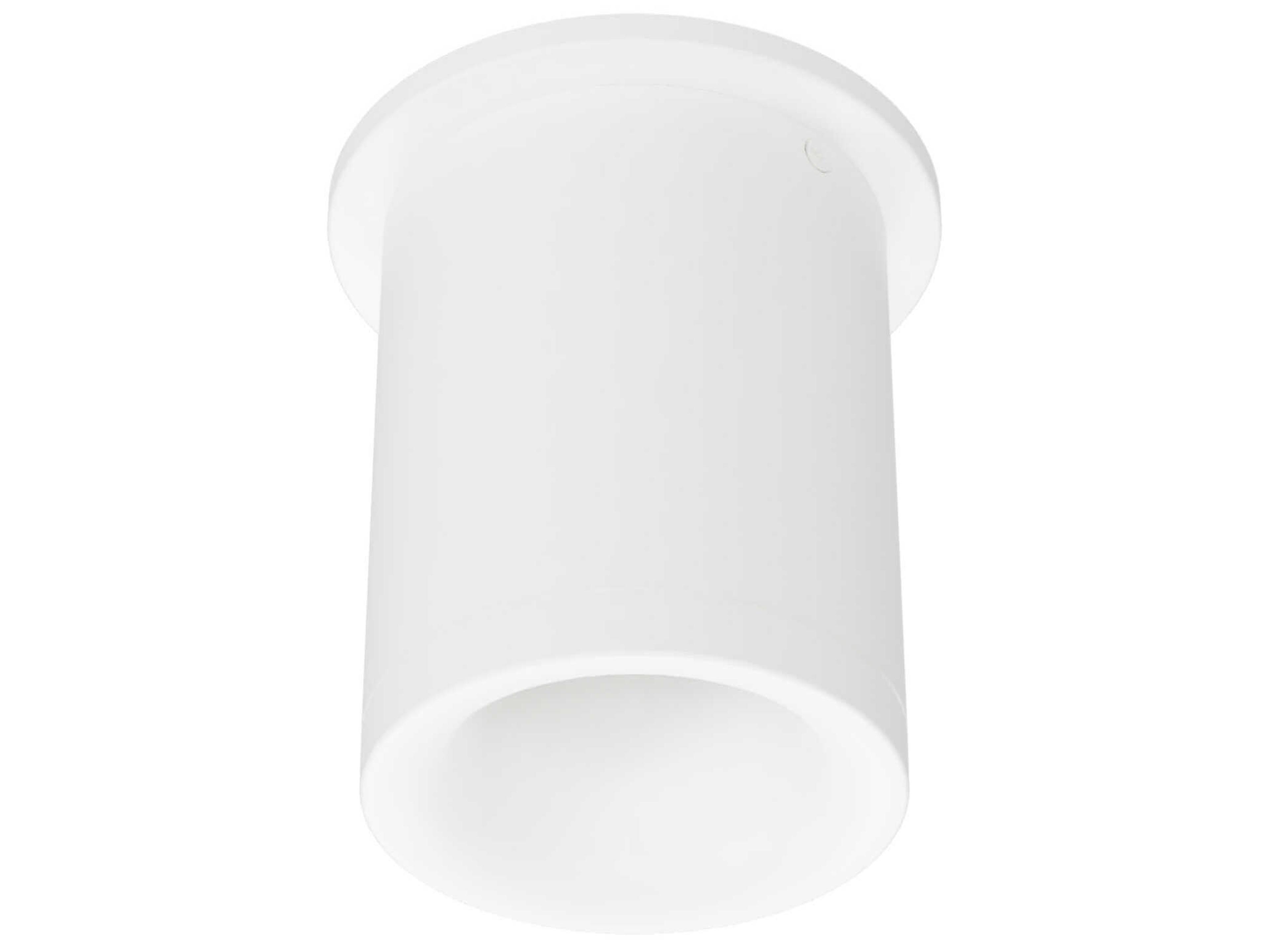 Zoron Round 1-Light Trimmed Outdoor Ceiling Light