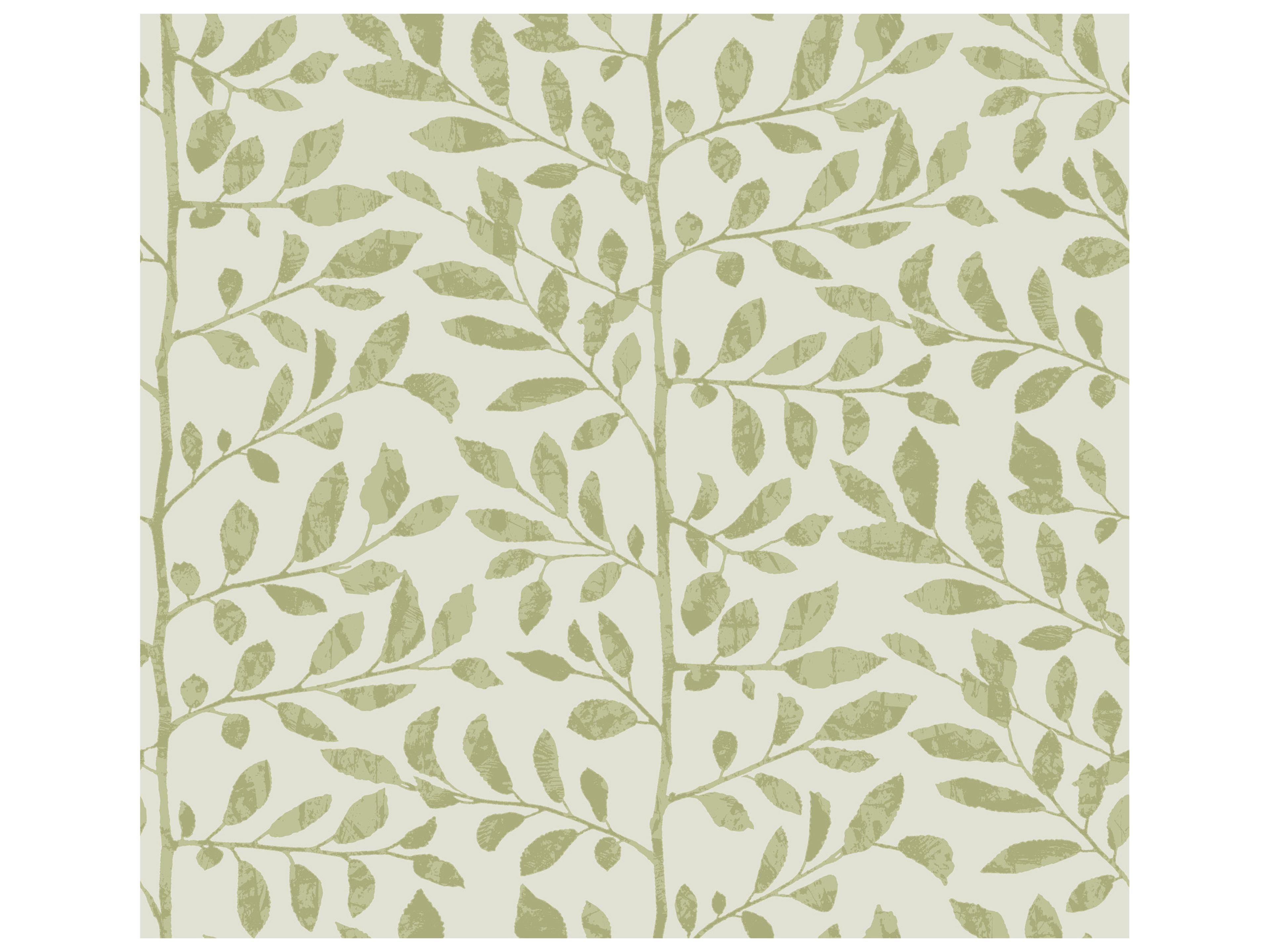 York Wallcoverings Drew & Jonathan Home Fifth Edition Sage Sapling Wallpaper