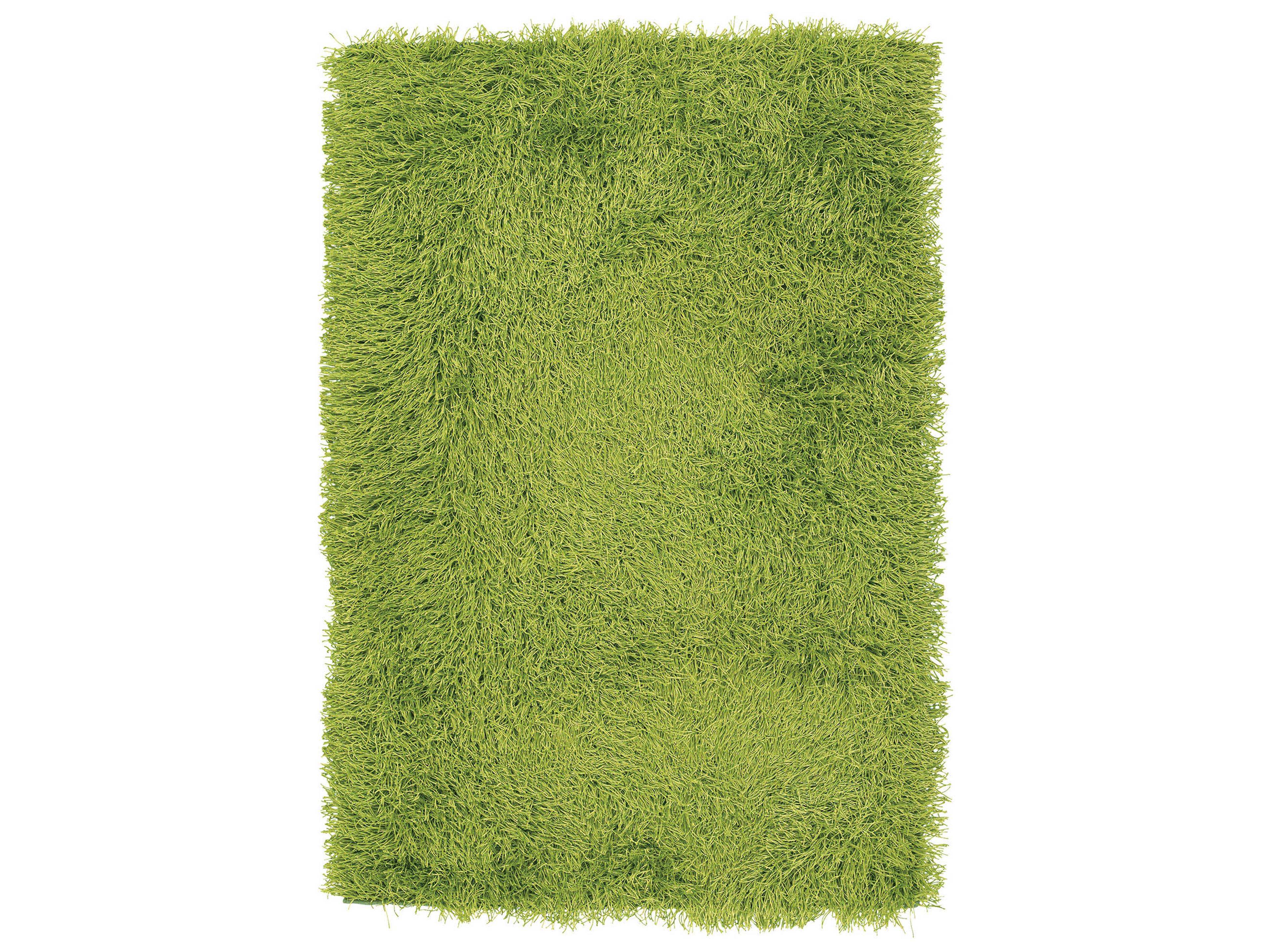 Chandra Duke Shag Area Rug