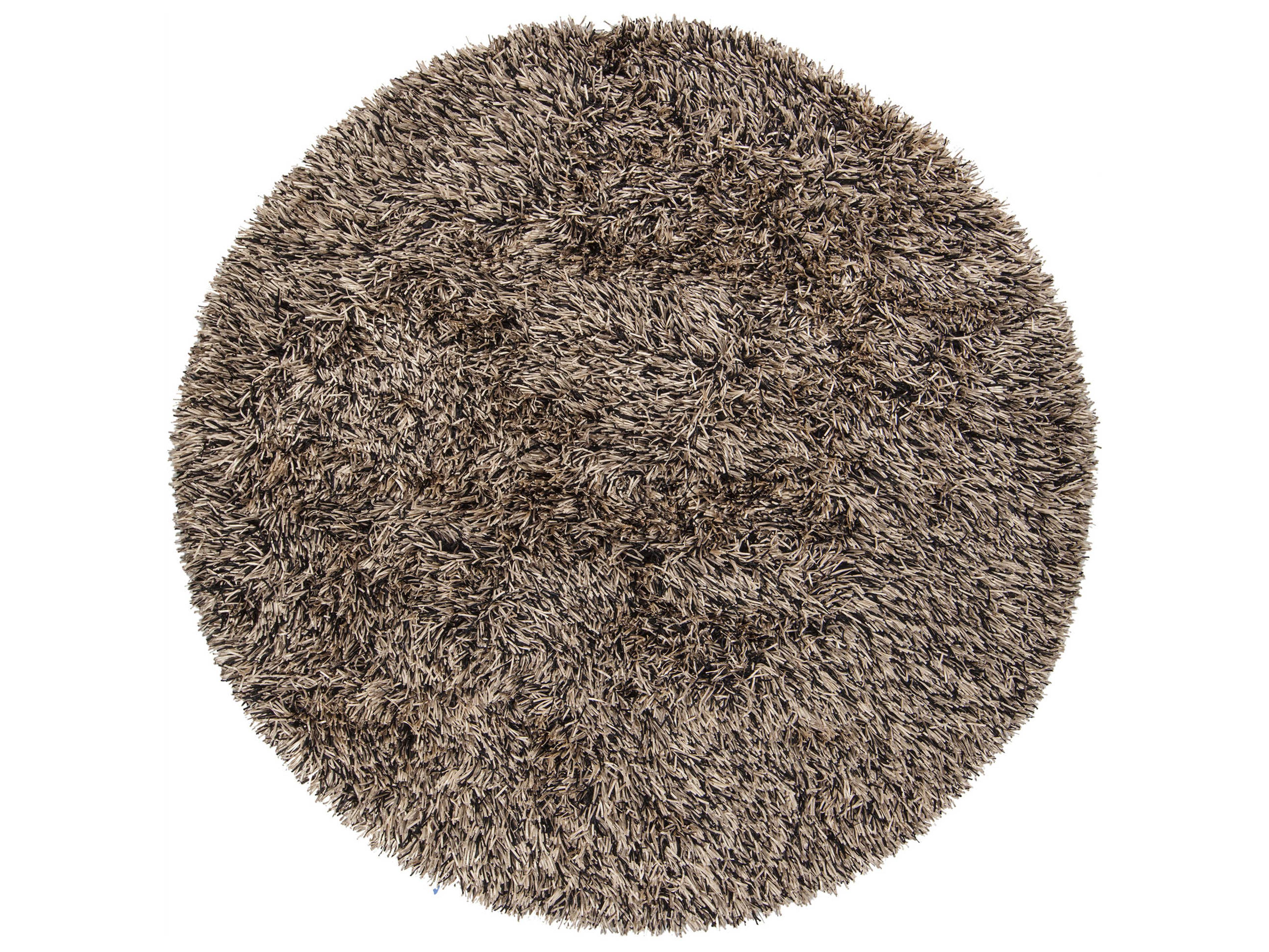 Chandra Iris Shag Area Rug