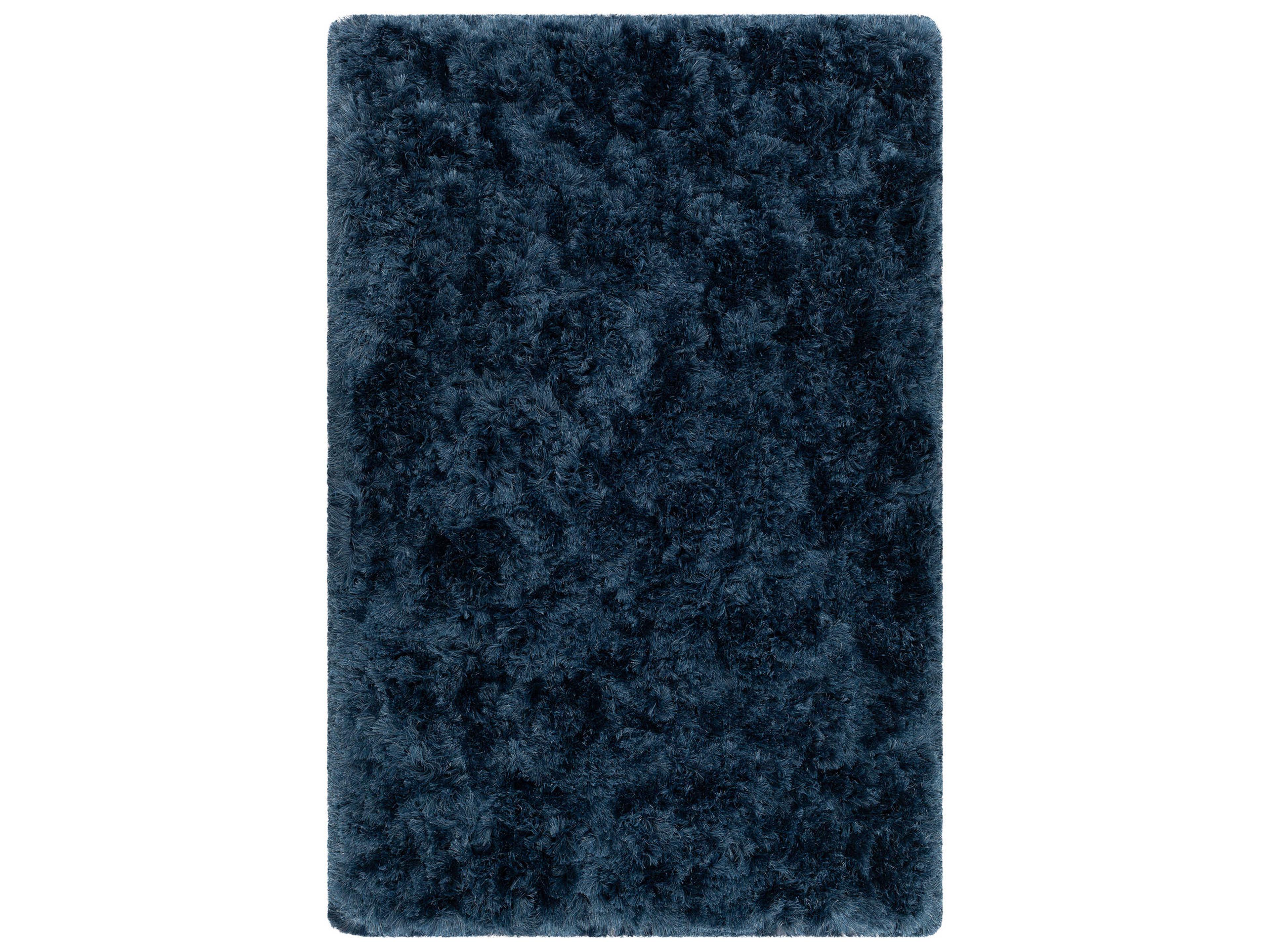 Chandra Teagan Shag Area Rug