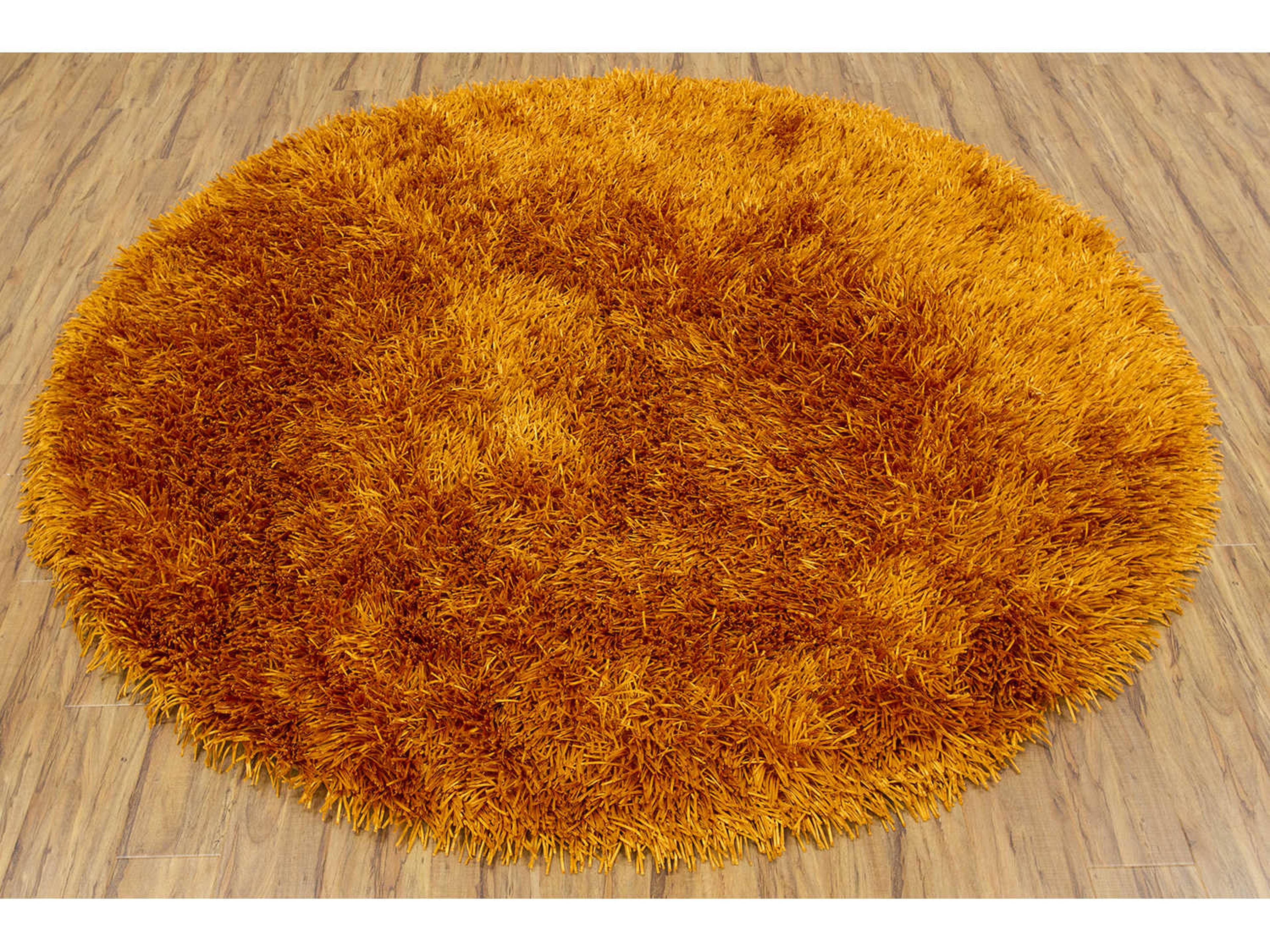 Chandra Tirish Shag Area Rug
