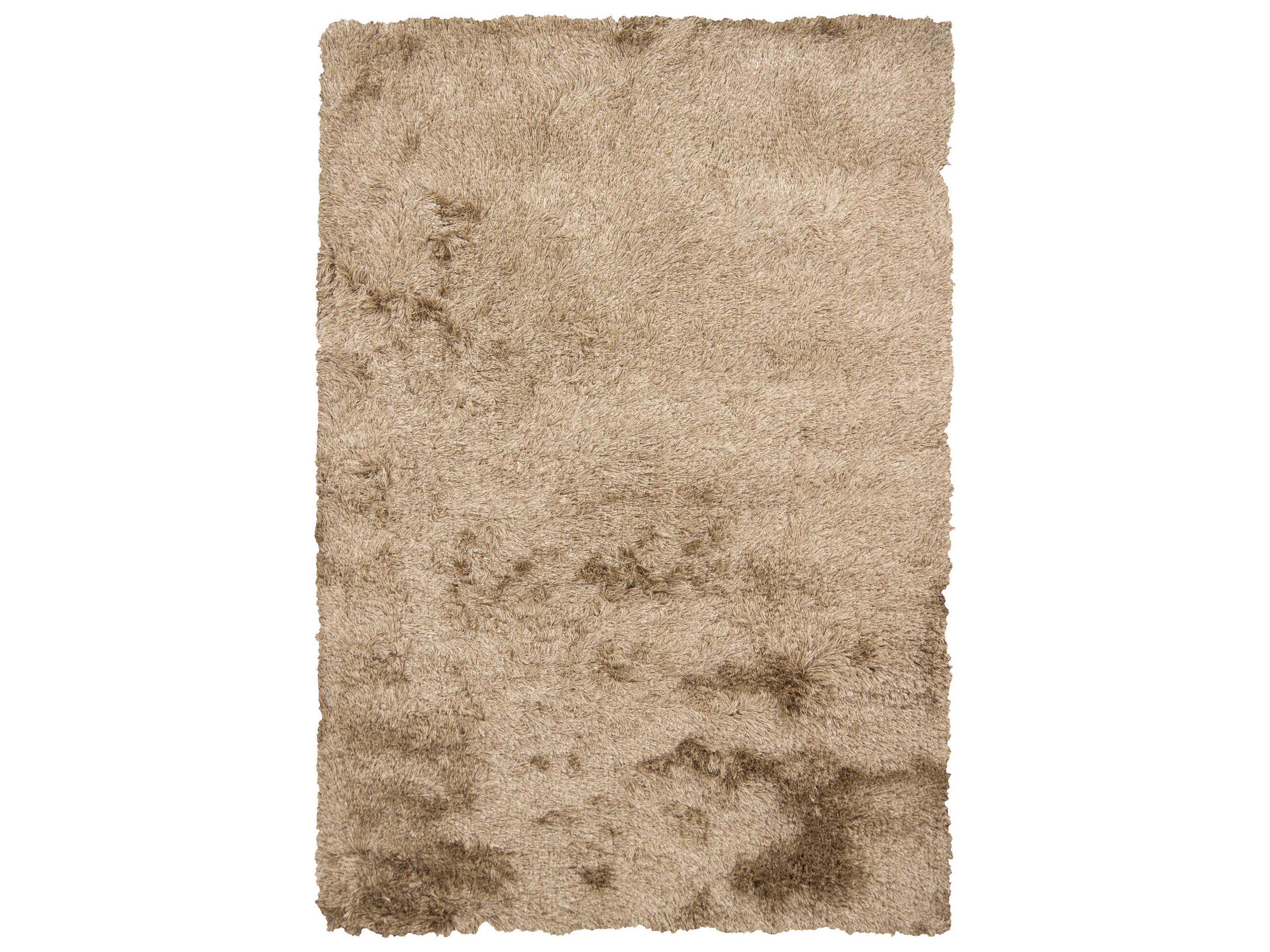 Chandra Vani Shag Area Rug