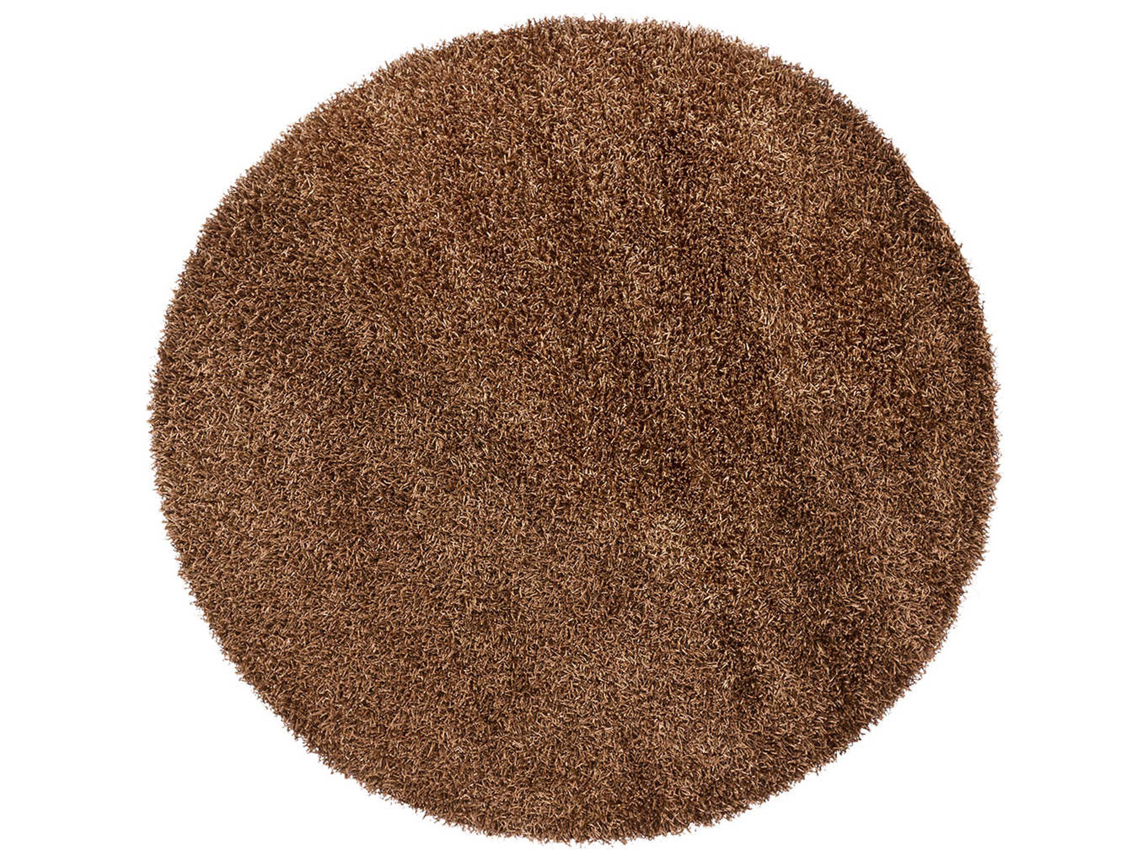 Chandra Zara Shag Area Rug