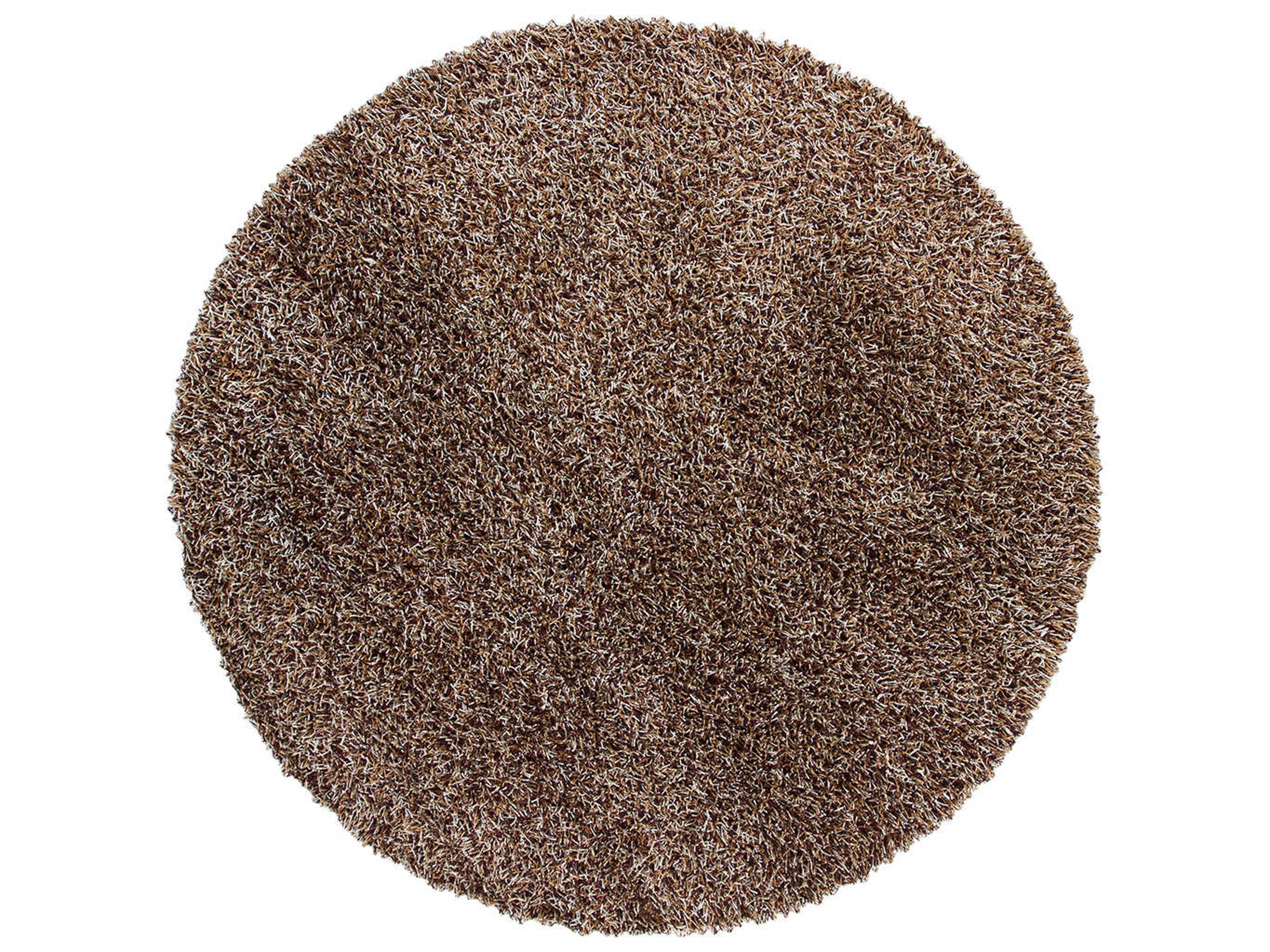 Chandra Zara Shag Area Rug