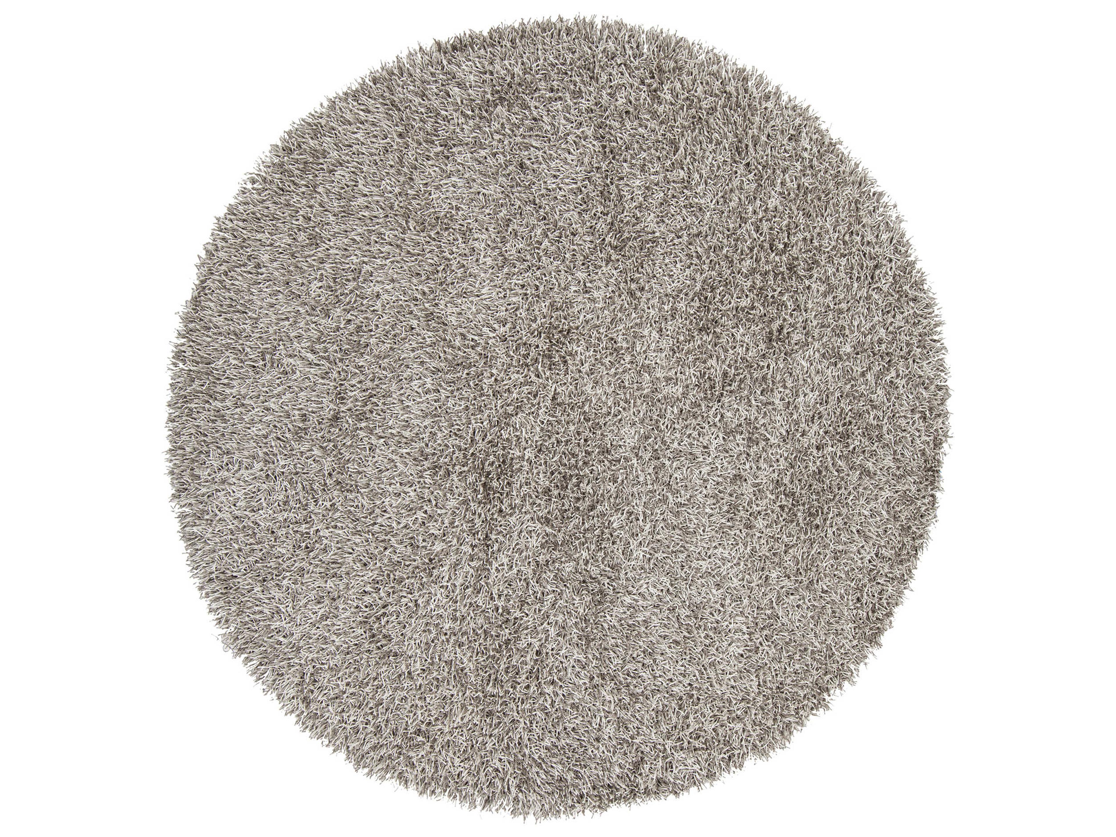 Chandra Zara Shag Area Rug