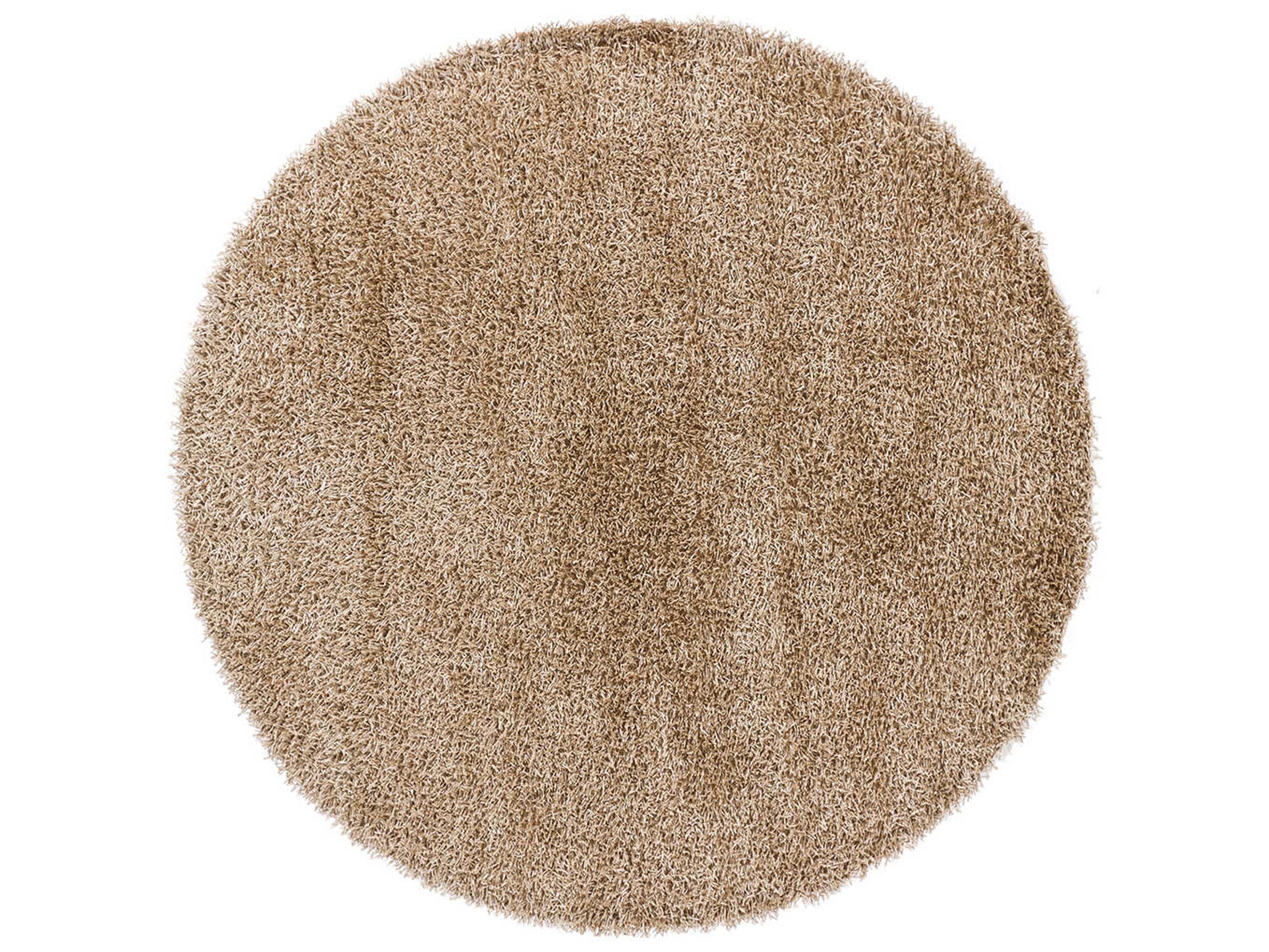 Chandra Zara Shag Area Rug