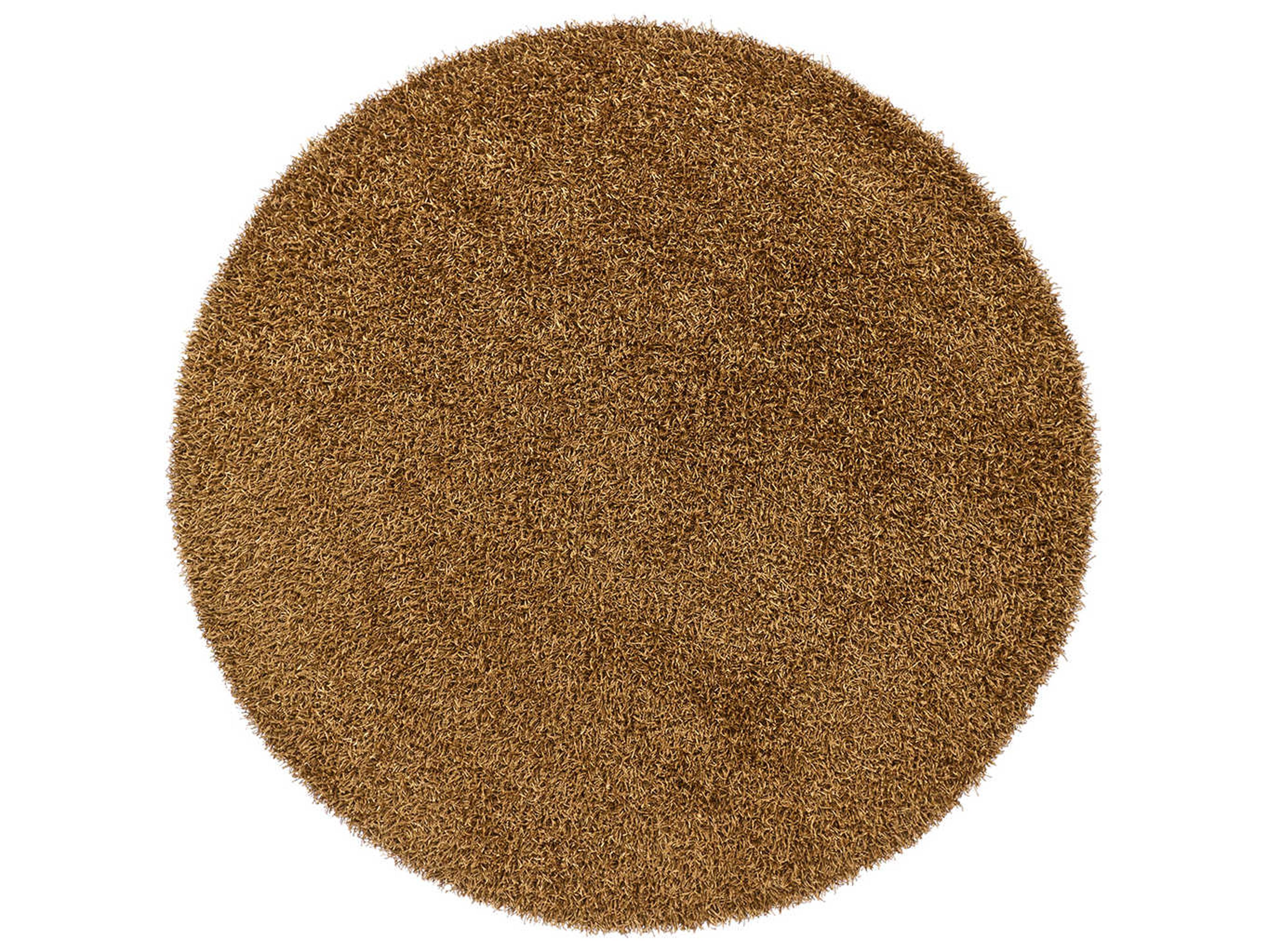 Chandra Zara Shag Area Rug