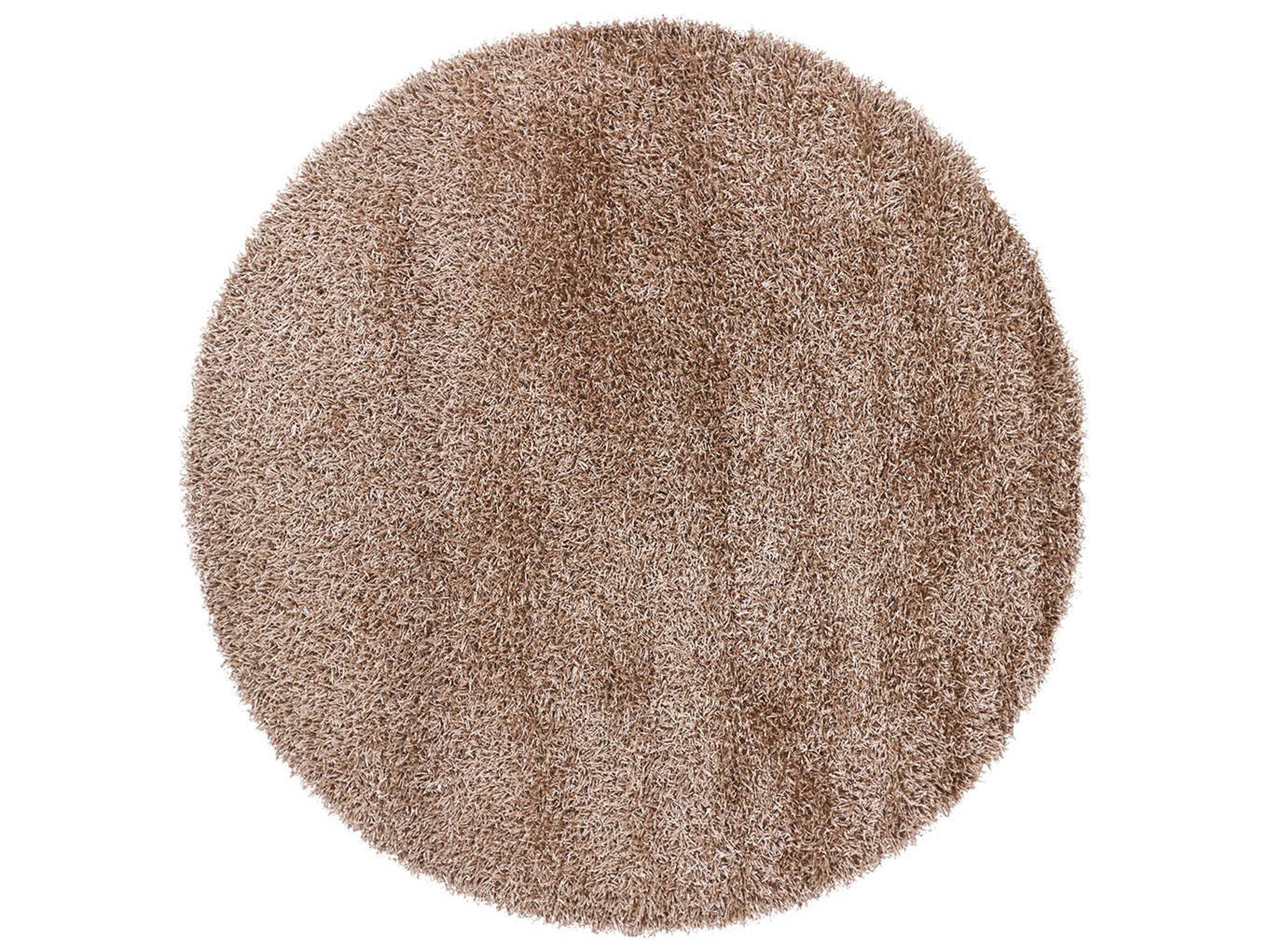 Chandra Zara Shag Area Rug